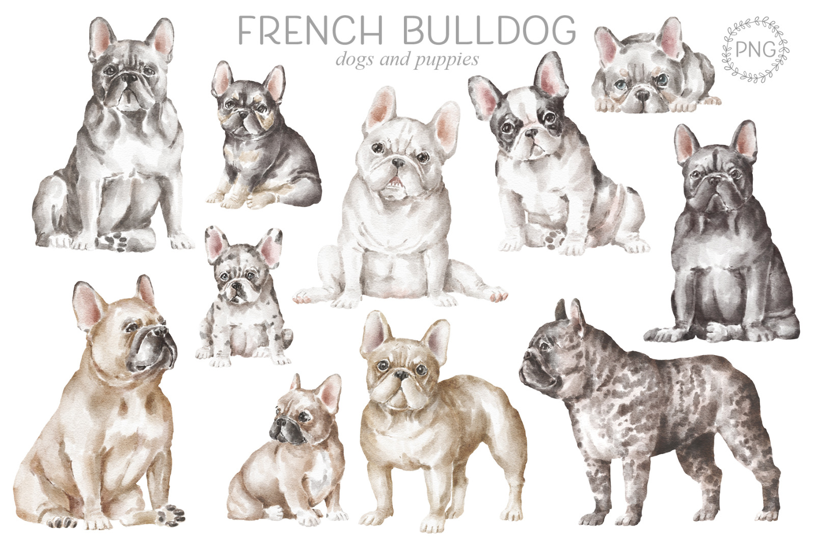 French bulldog dogs clipart png French bulldog dogs clipart png