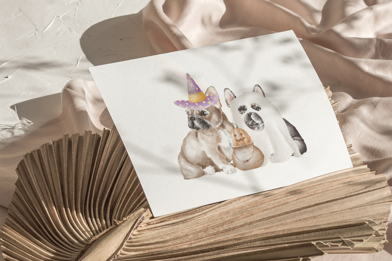 French bulldog dogs clipart png