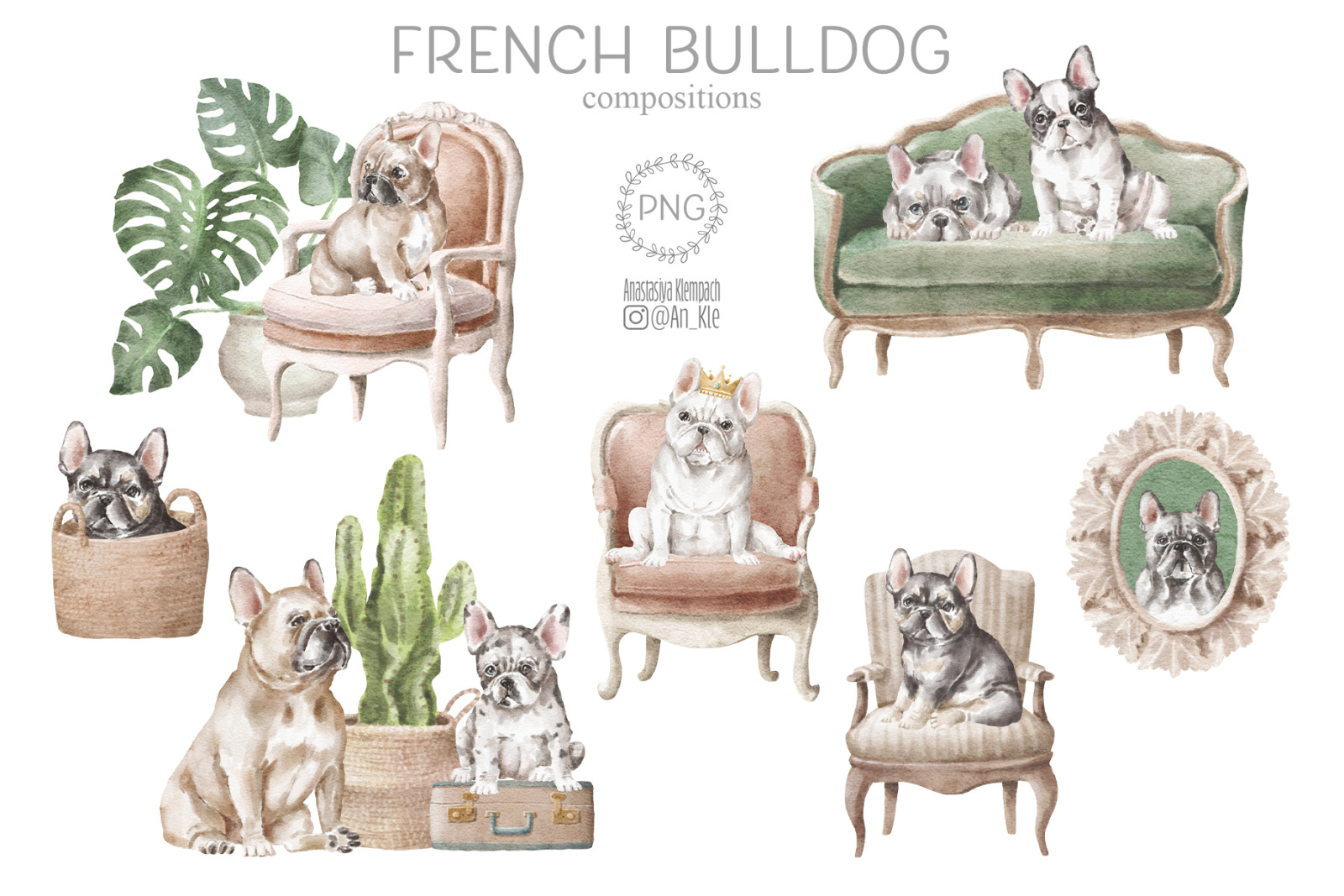 French bulldog dogs clipart png