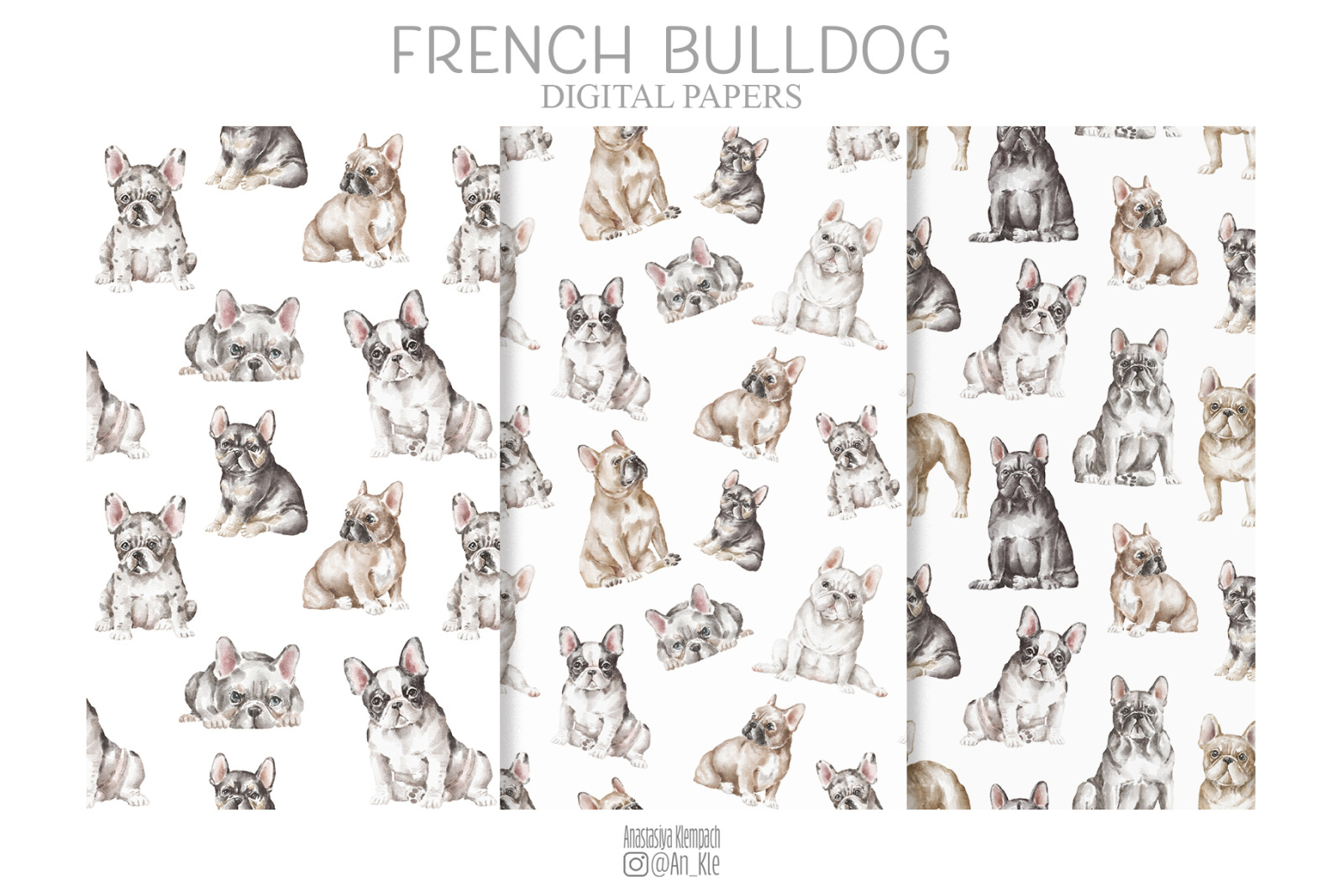 French bulldog dogs clipart png