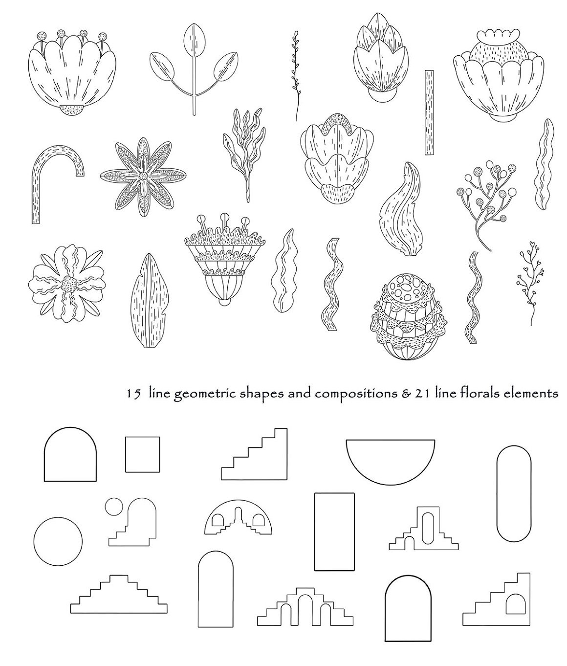 WOMEN&FLORALS ILLUSTRATIONS WOMEN&FLORALS ILLUSTRATIONS