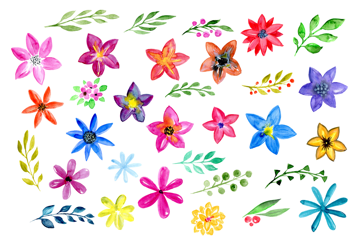 32 Watercolor floral elements 32 Watercolor floral elements