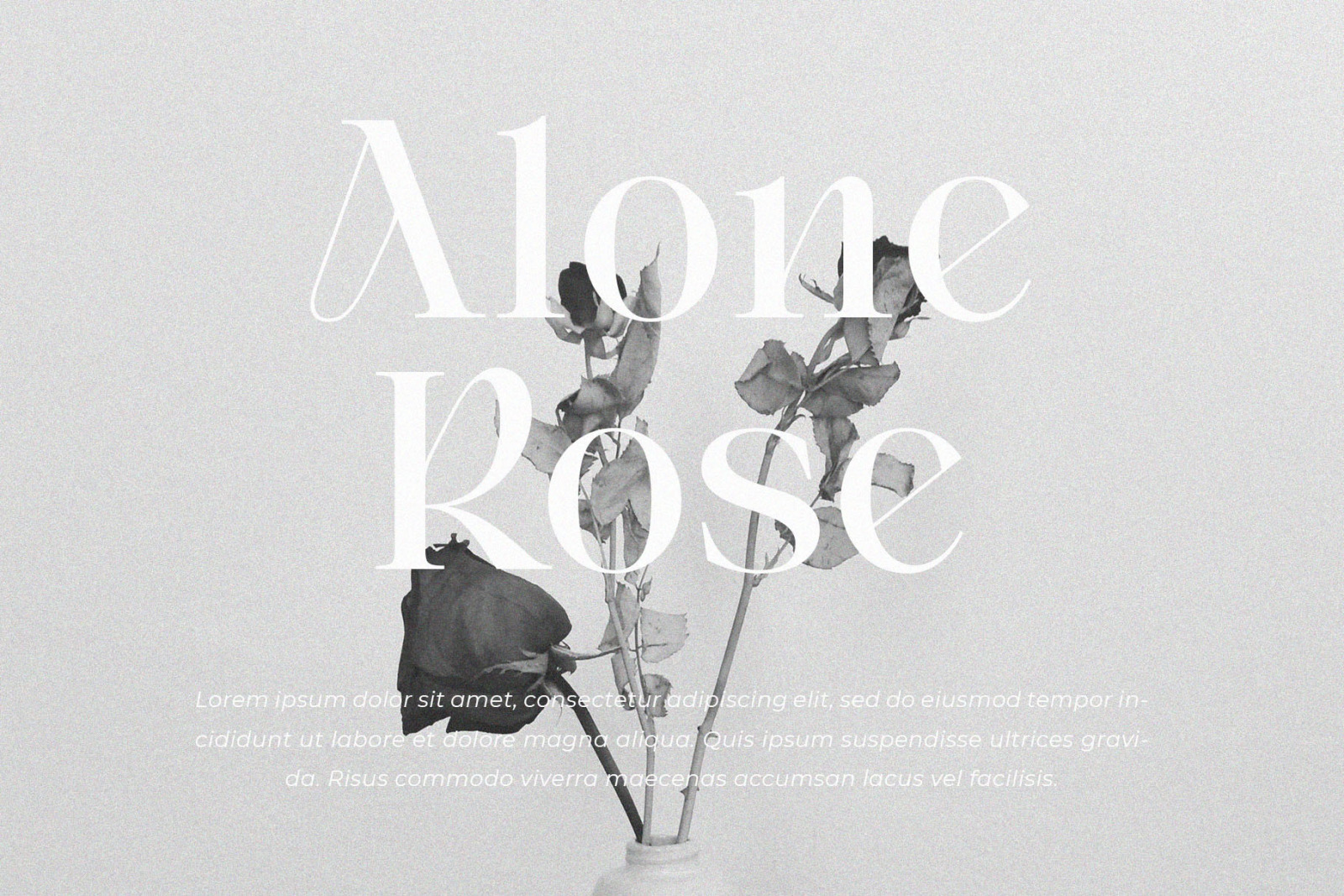 Rimon Dustin – Retro Serif Typeface Rimon Dustin – Retro Serif Typeface