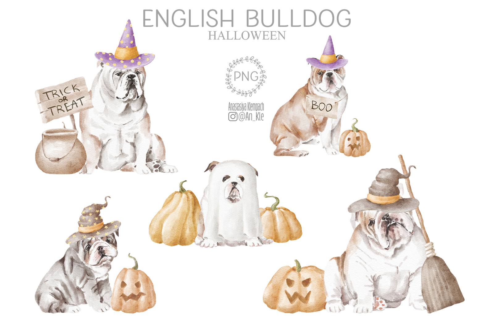 English Bulldog dog breed clipart