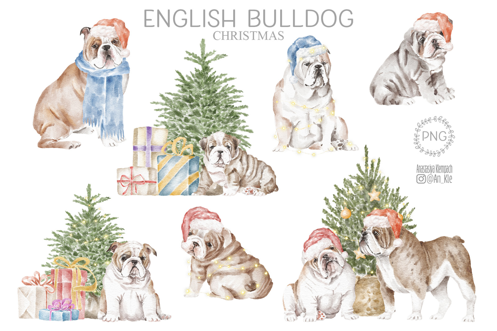 English Bulldog dog breed clipart