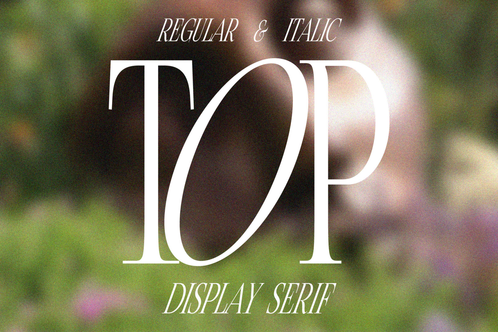 TOP Display Serif