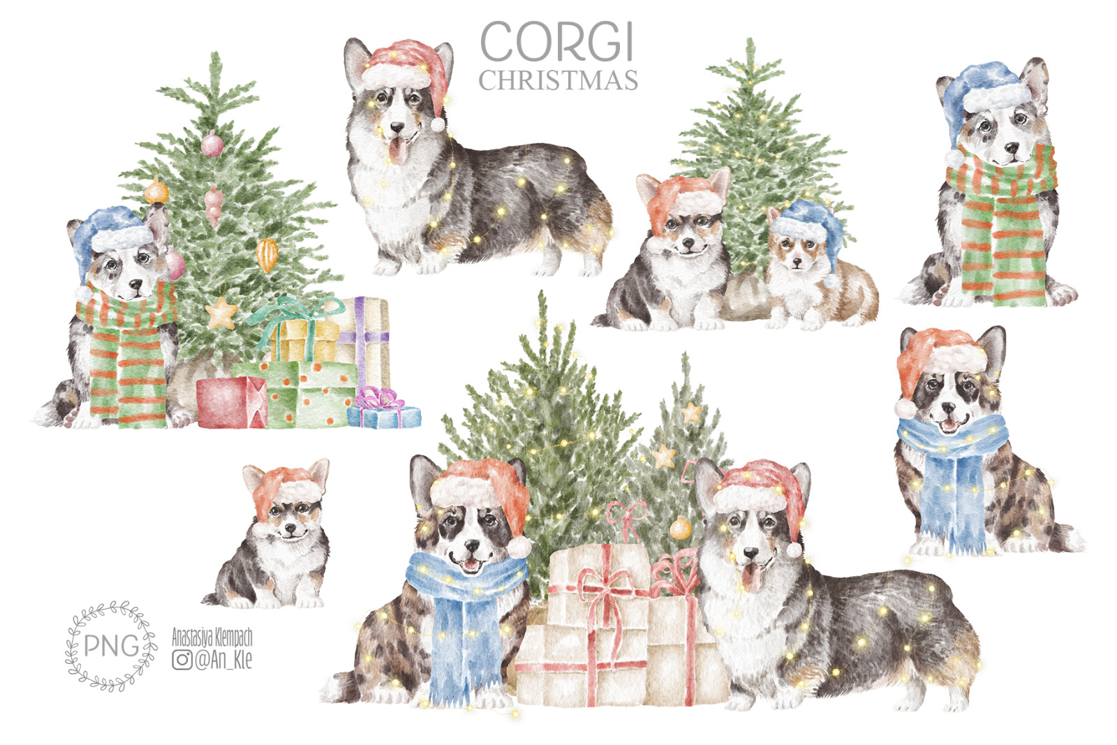 Corgi dogs and puppies clipart png