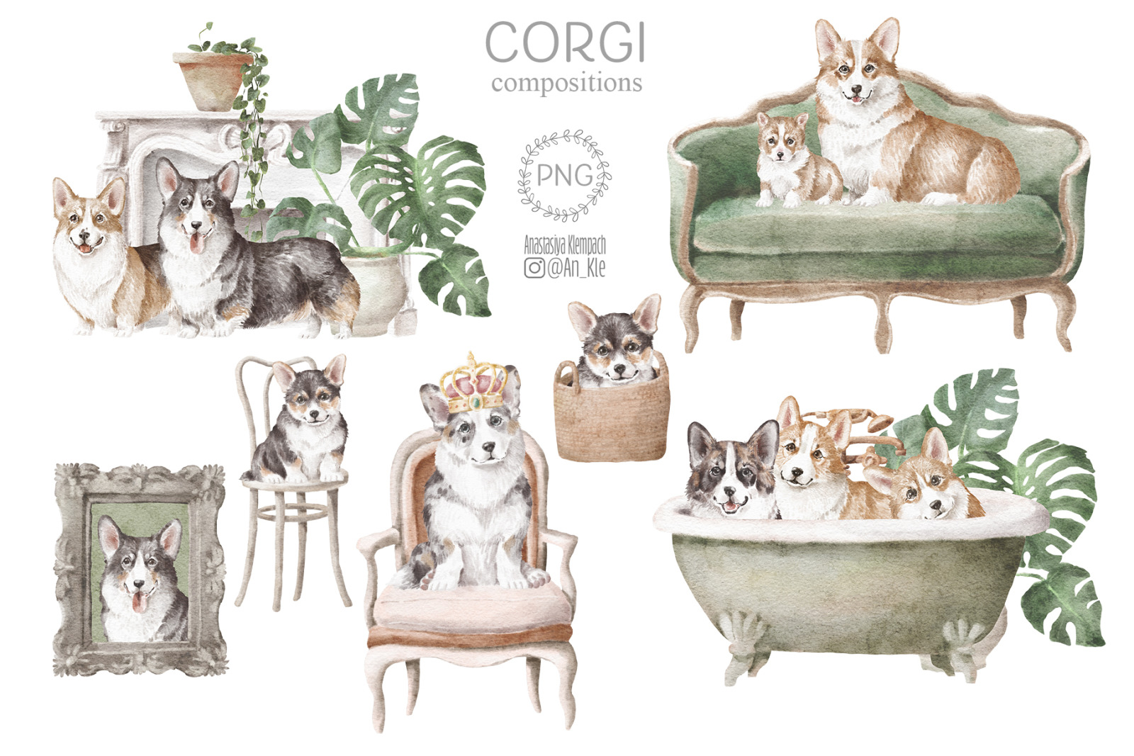 Corgi dogs and puppies clipart png Corgi dogs and puppies clipart png