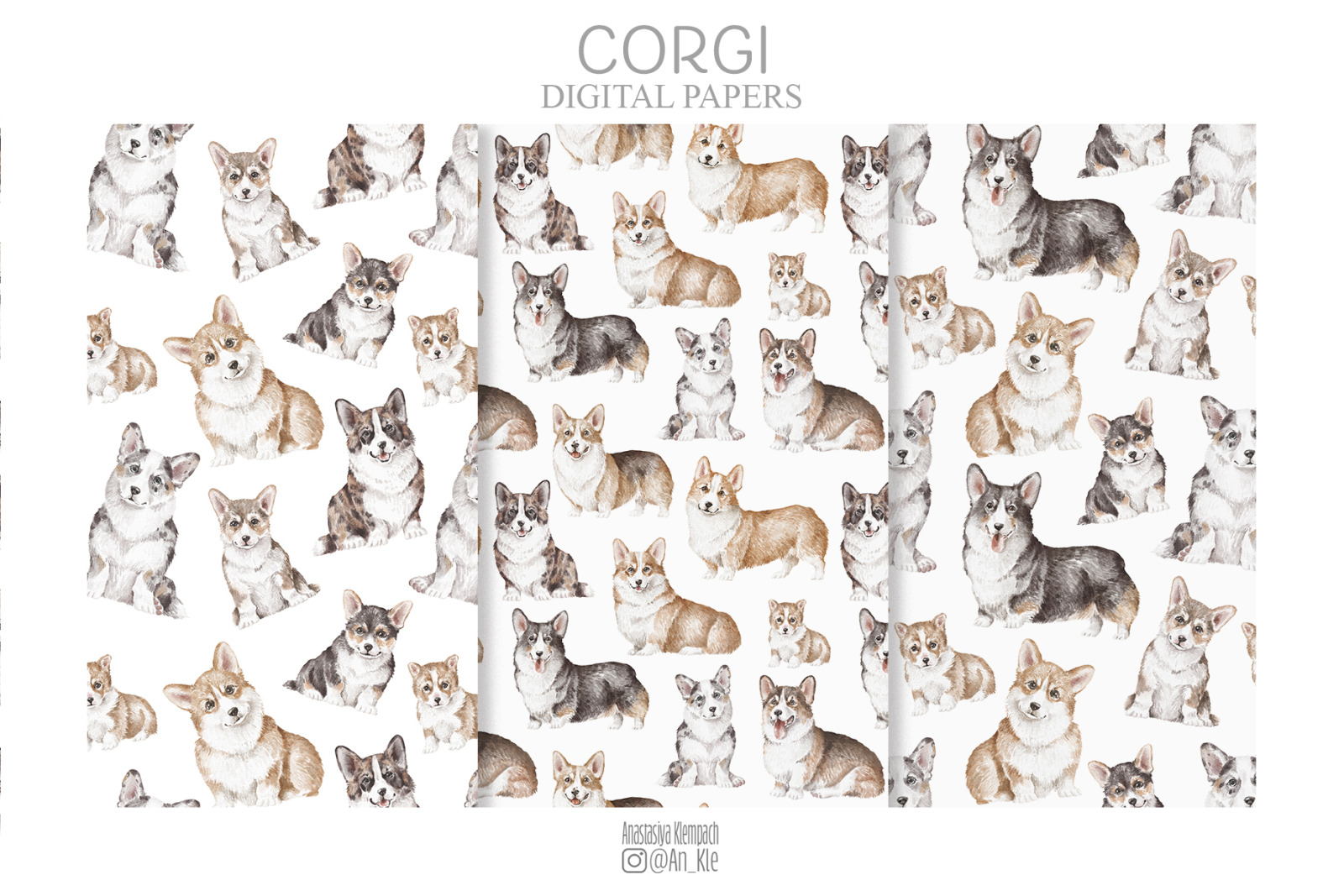 Corgi dogs and puppies clipart png