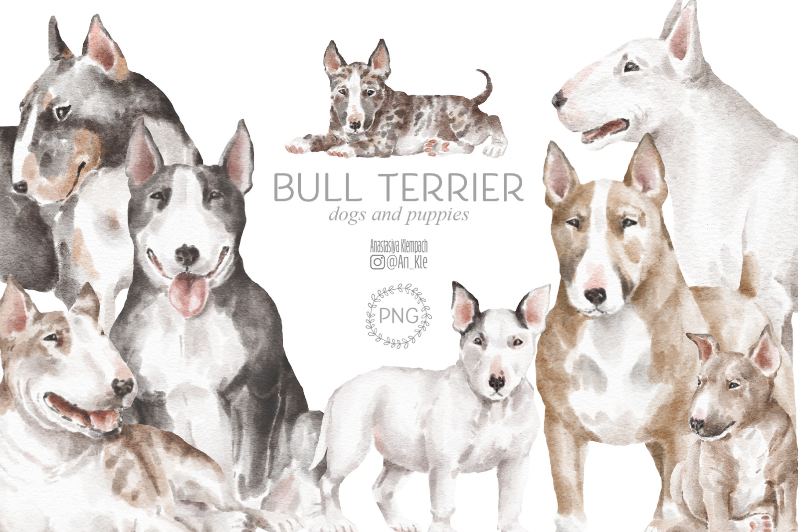 Bullterrier dogs and puppies clipart