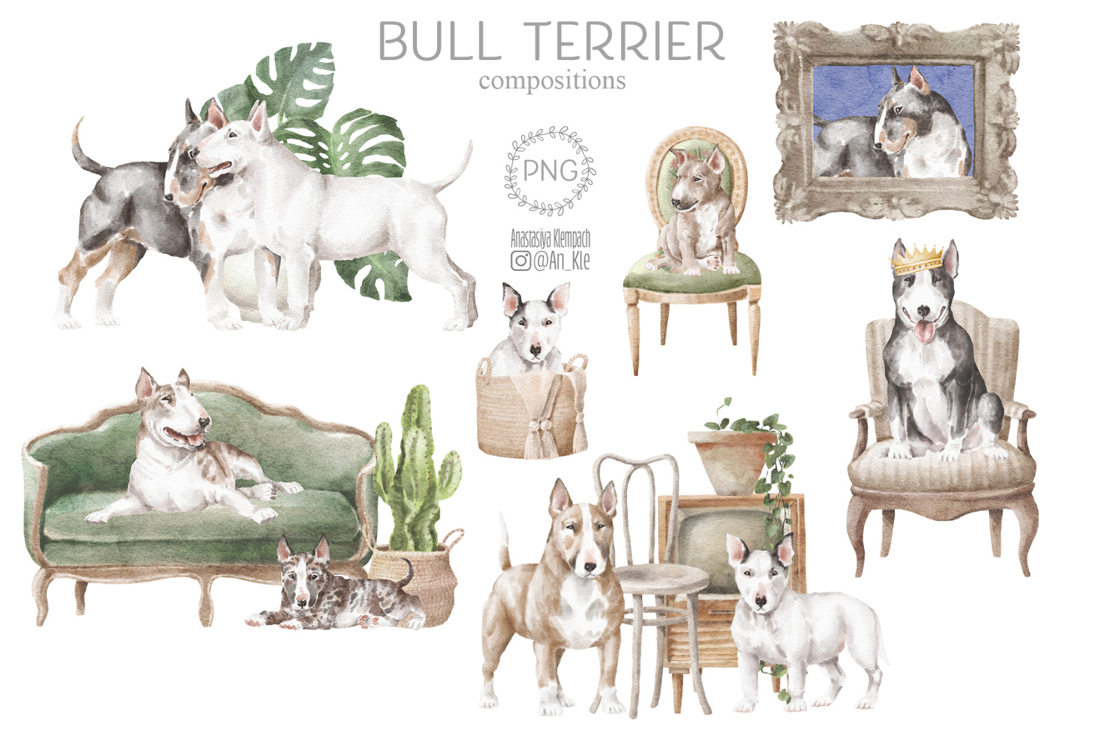 Bullterrier dogs and puppies clipart Bullterrier dogs and puppies clipart