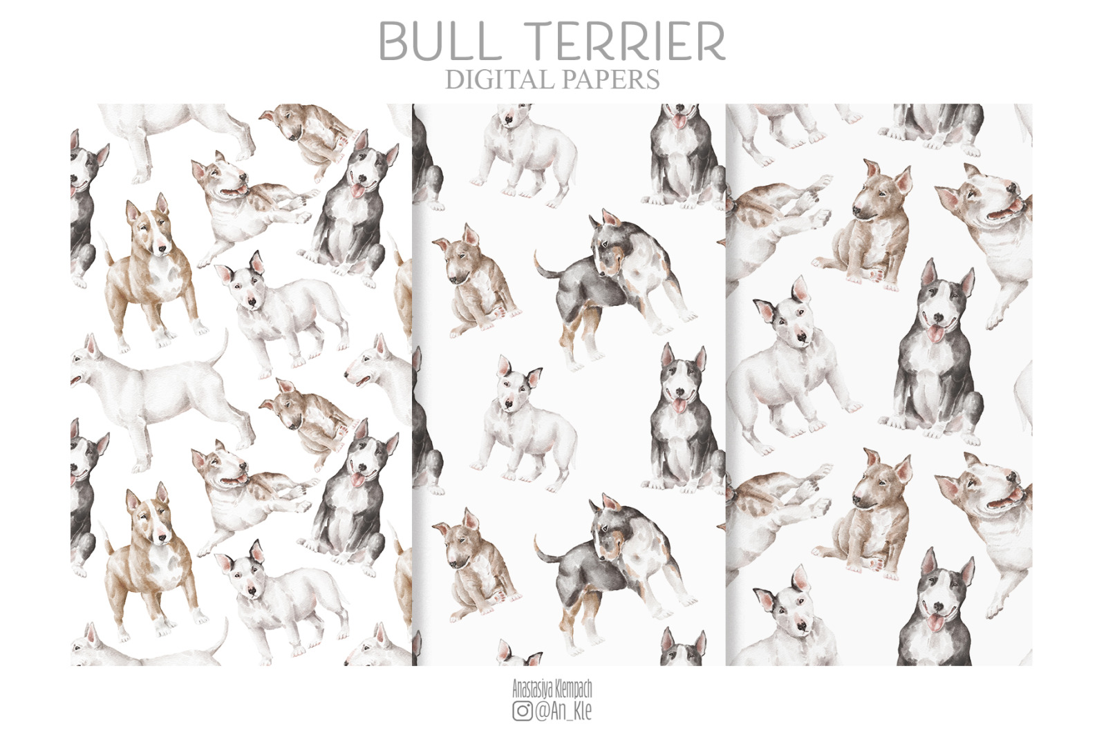 Bullterrier dogs and puppies clipart Bullterrier dogs and puppies clipart