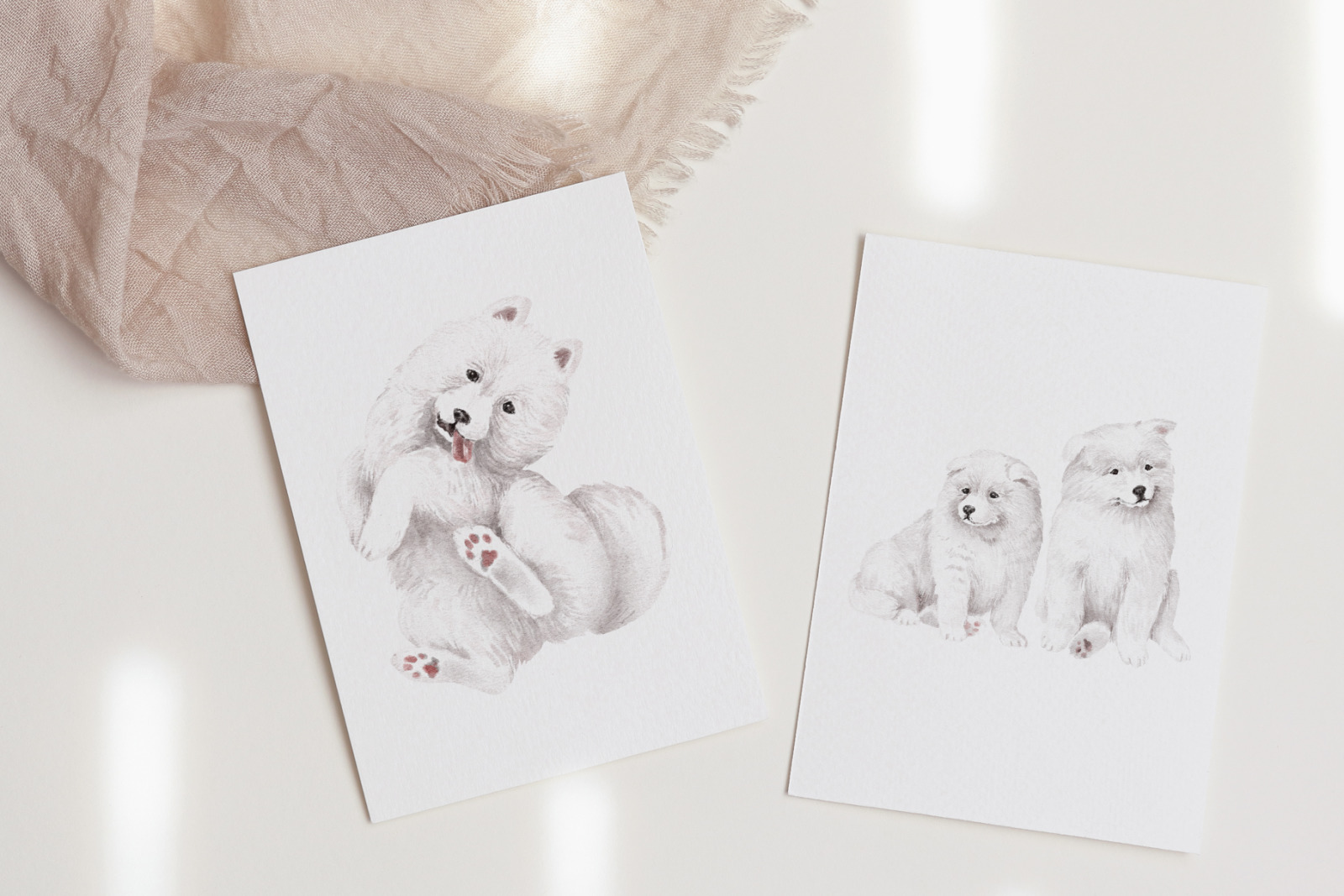 Samoyed dogs and puppies clipart