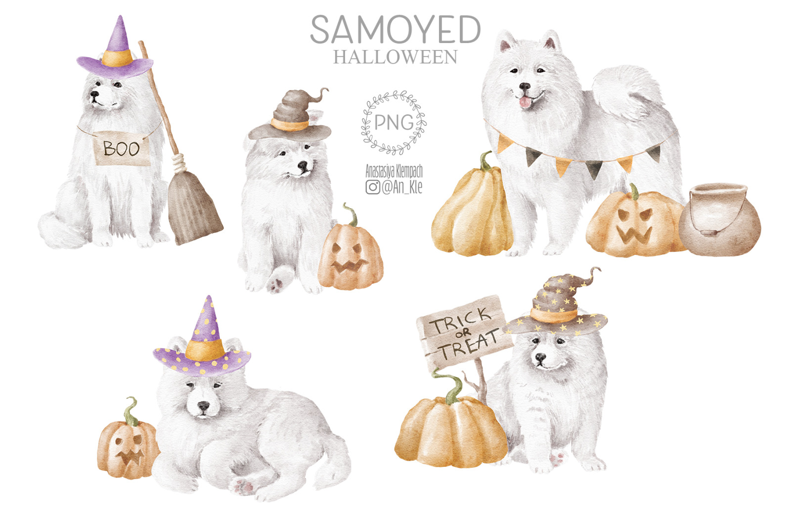 Samoyed dogs and puppies clipart