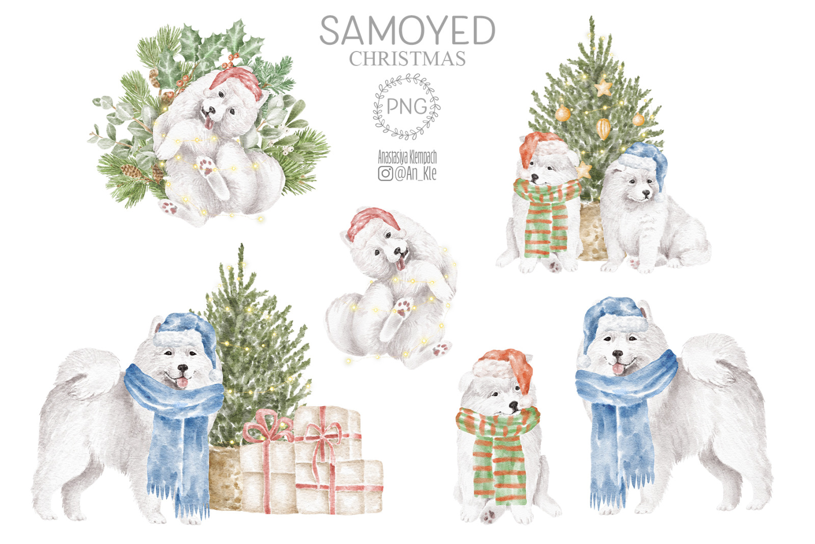 Samoyed dogs and puppies clipart