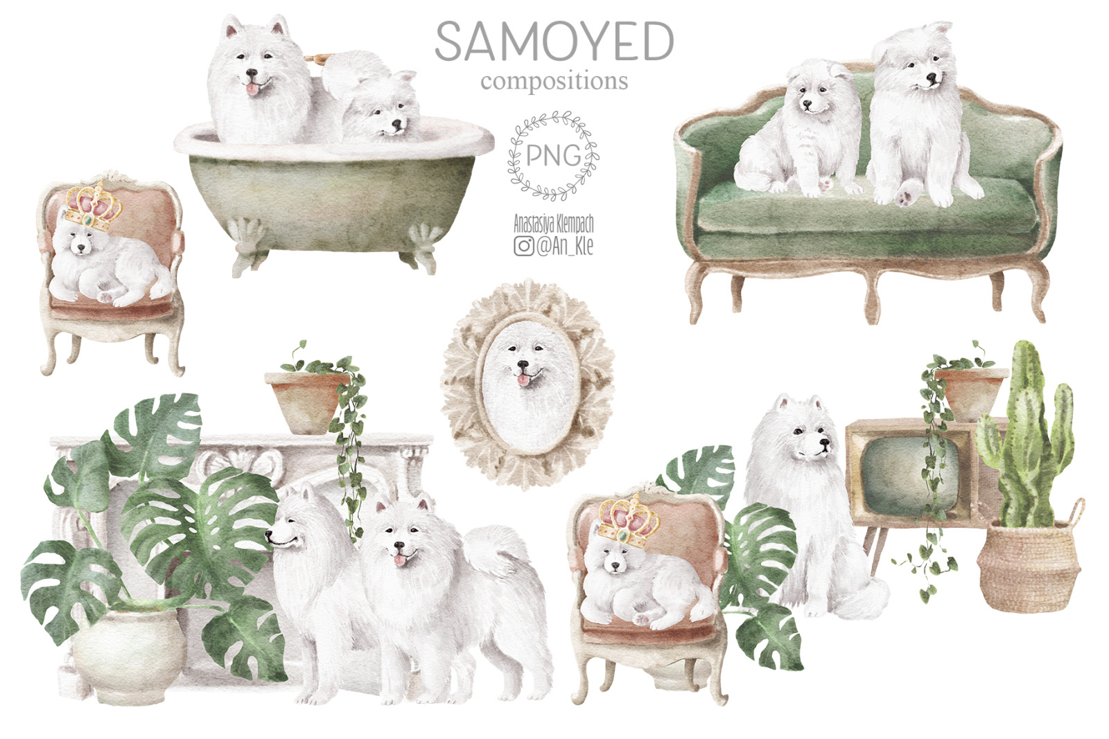 Samoyed dogs and puppies clipart Samoyed dogs and puppies clipart