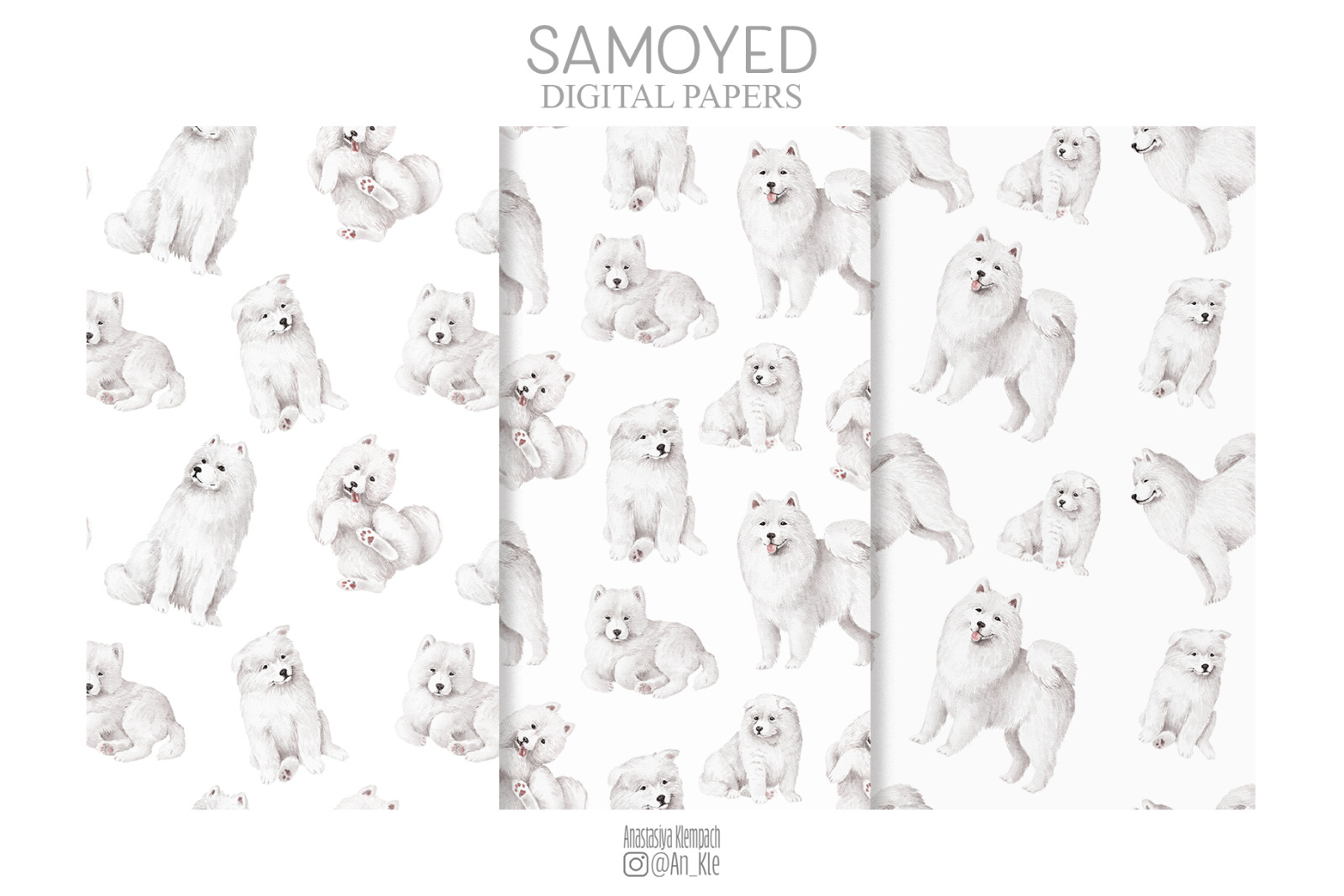 Samoyed dogs and puppies clipart