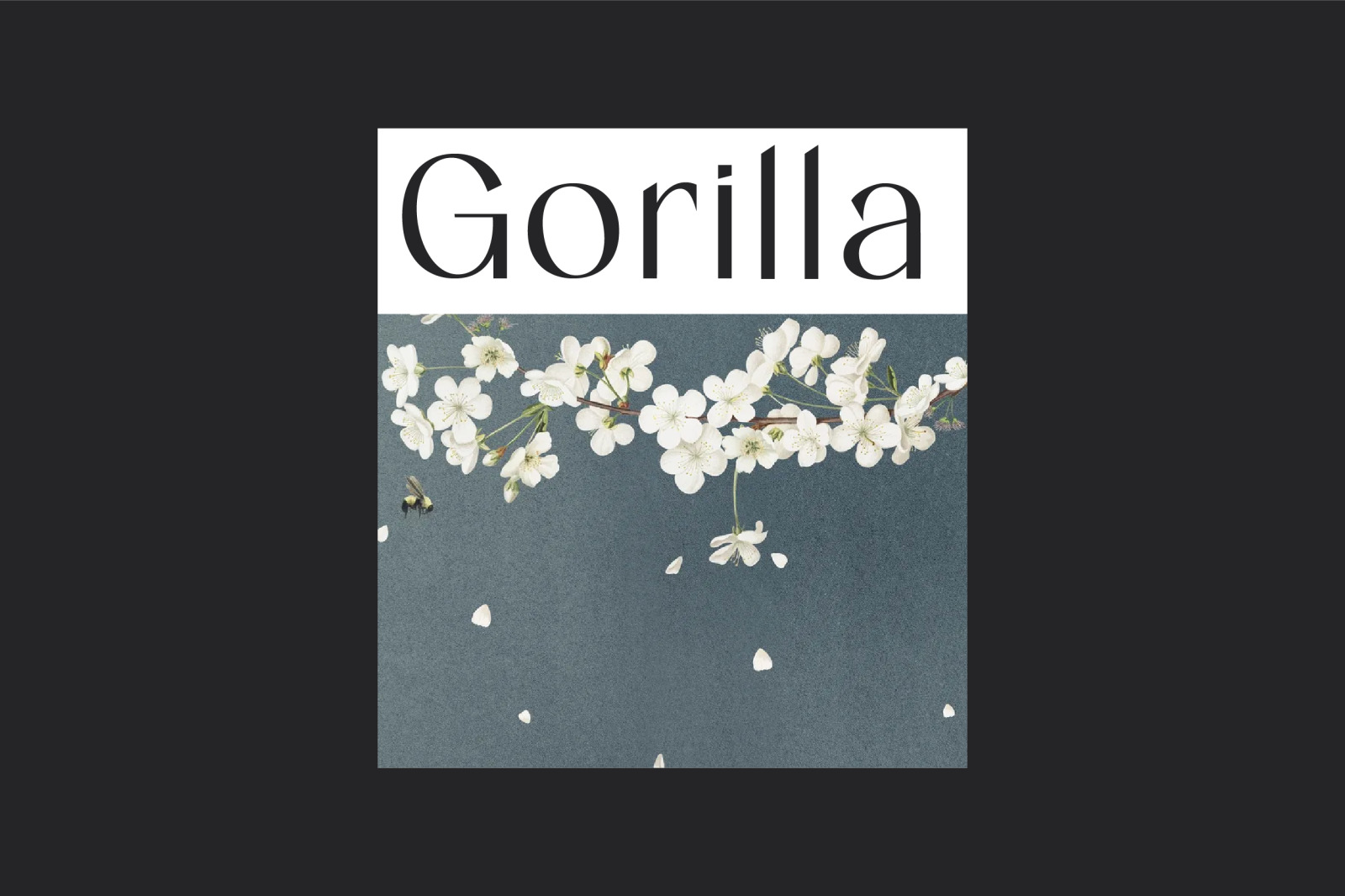 Bagea Display Font Bagea Display Font