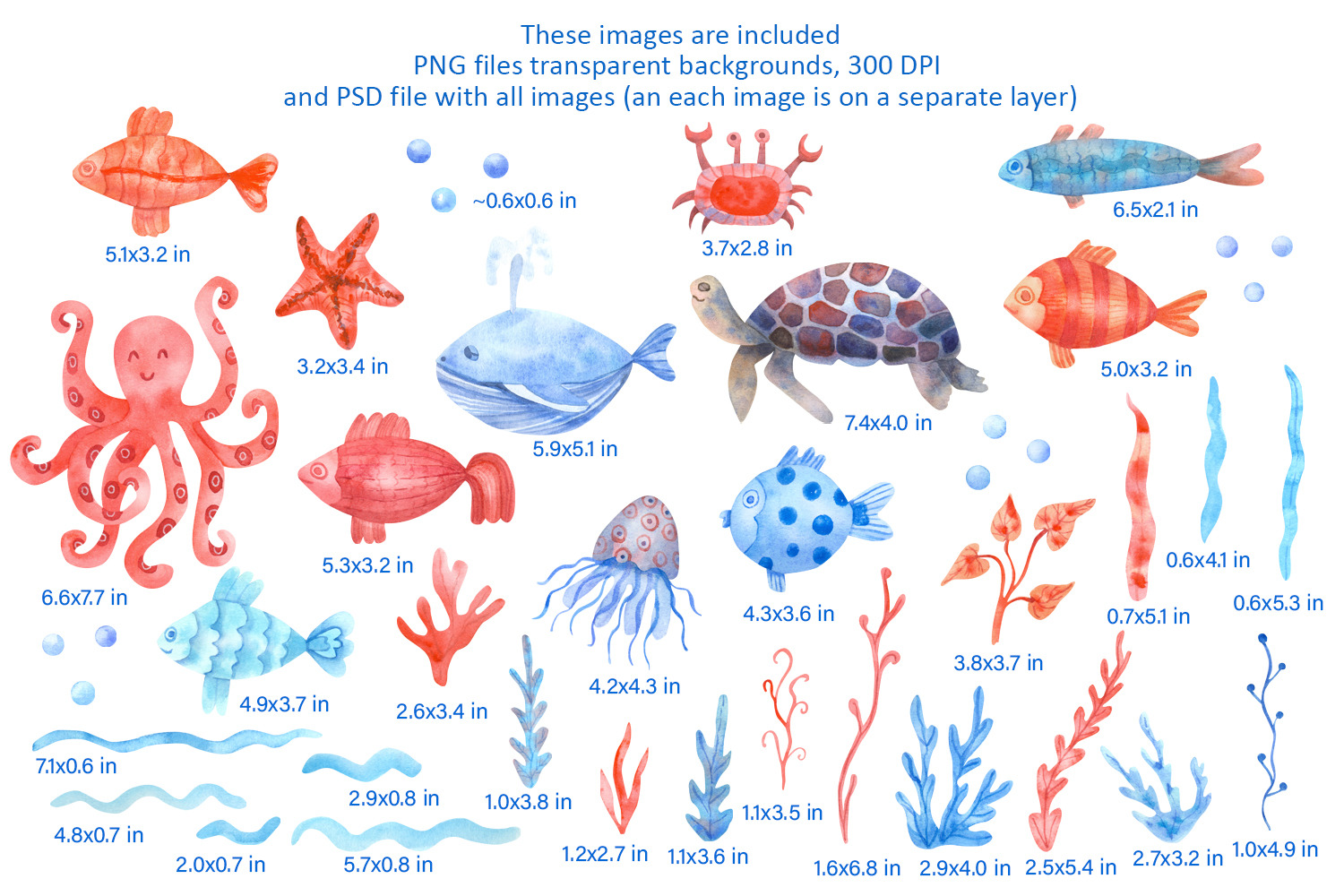 Nautical Mile Watercolor Collection Nautical Mile Watercolor Collection