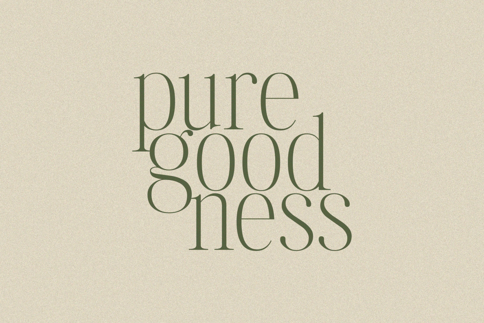 Lonalista – Chic & Moderf Serif Lonalista – Chic & Moderf Serif