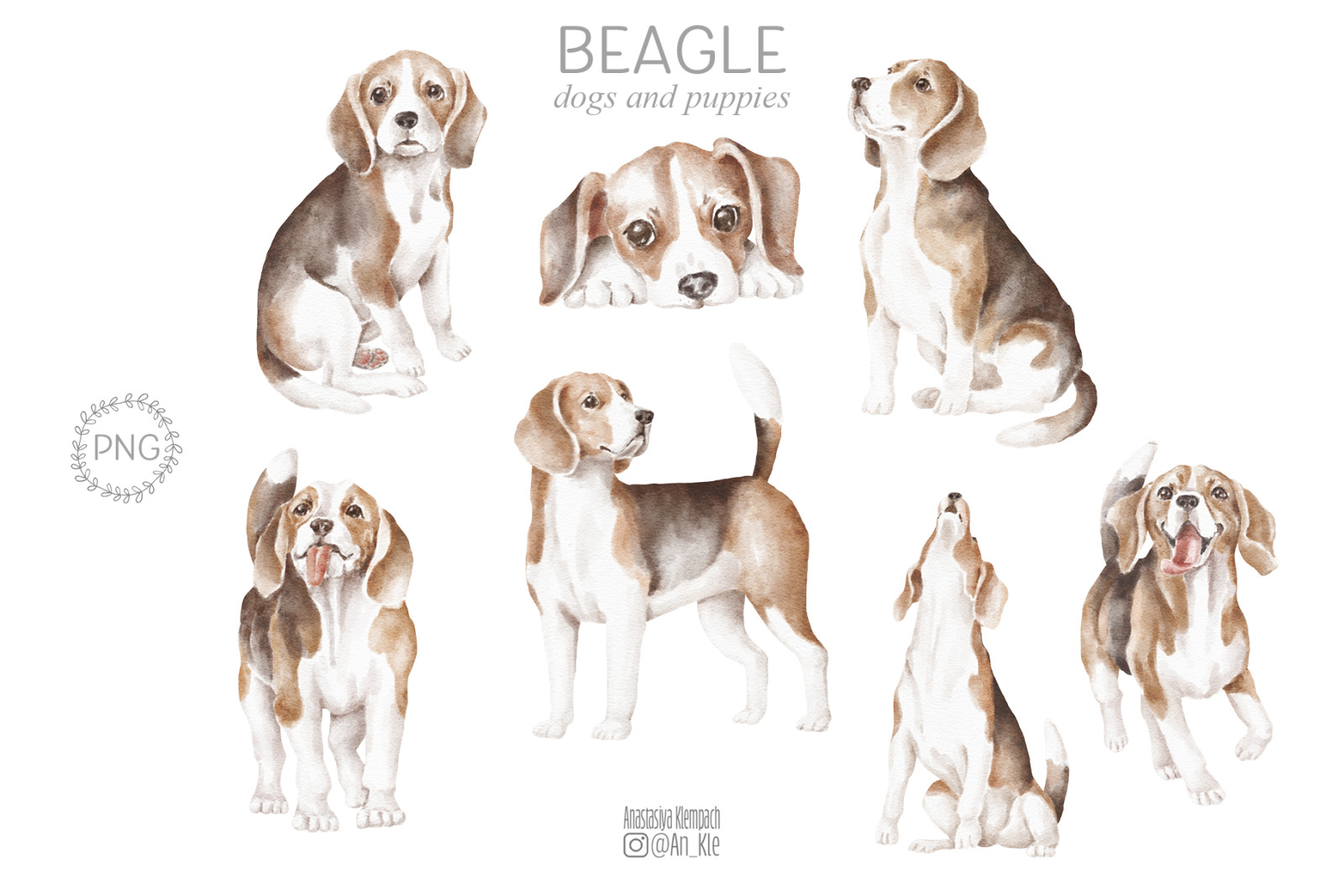 Beagle dog clipart png