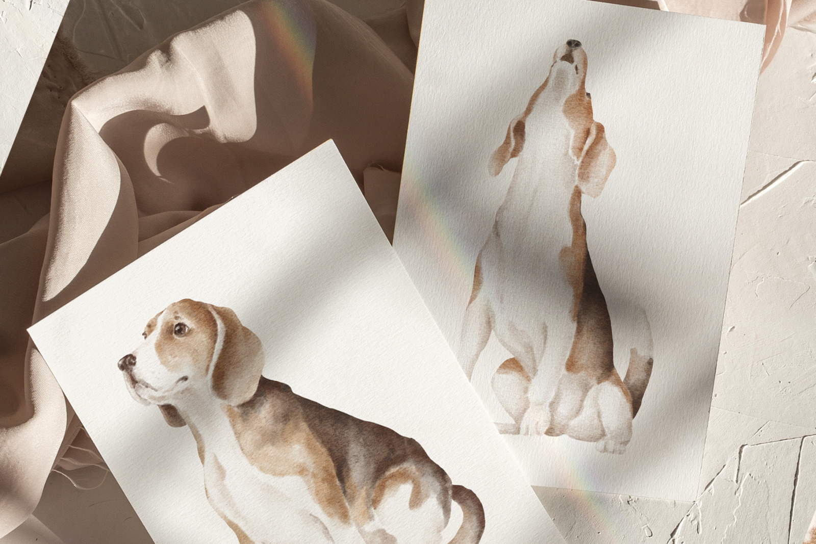 Beagle dog clipart png