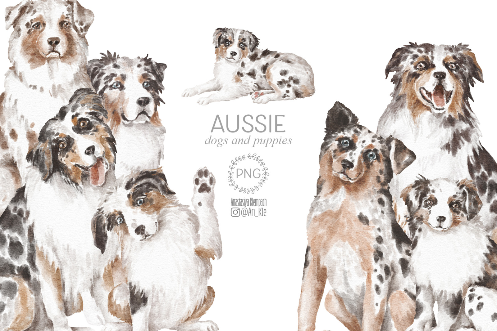 Aussie dog clipart bundle