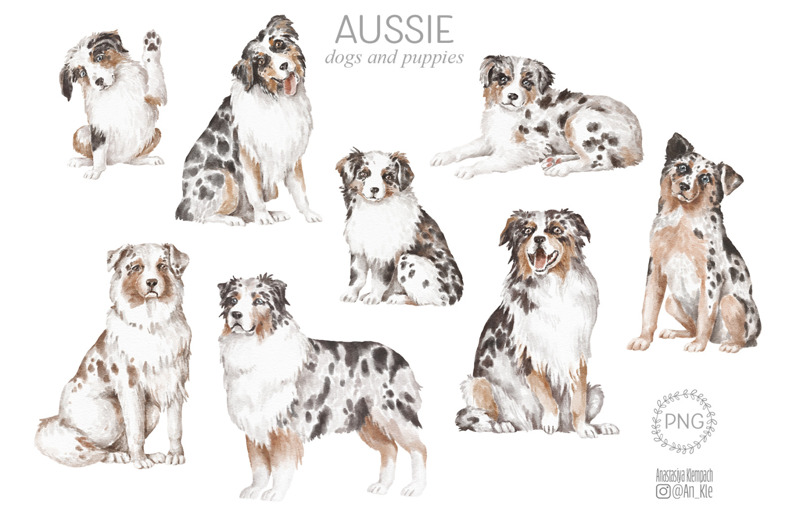 Aussie dog clipart bundle