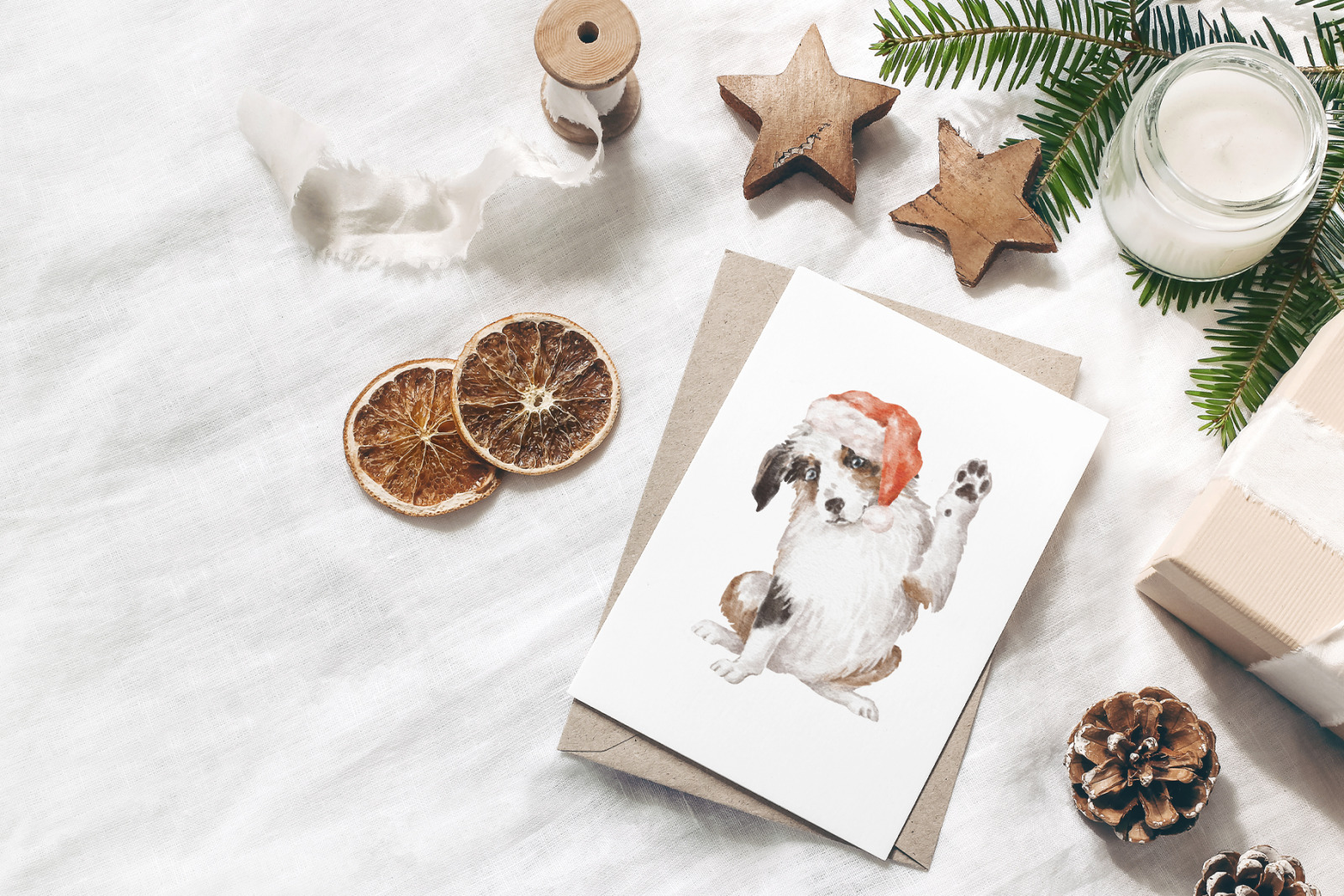 Aussie dog clipart bundle Aussie dog clipart bundle