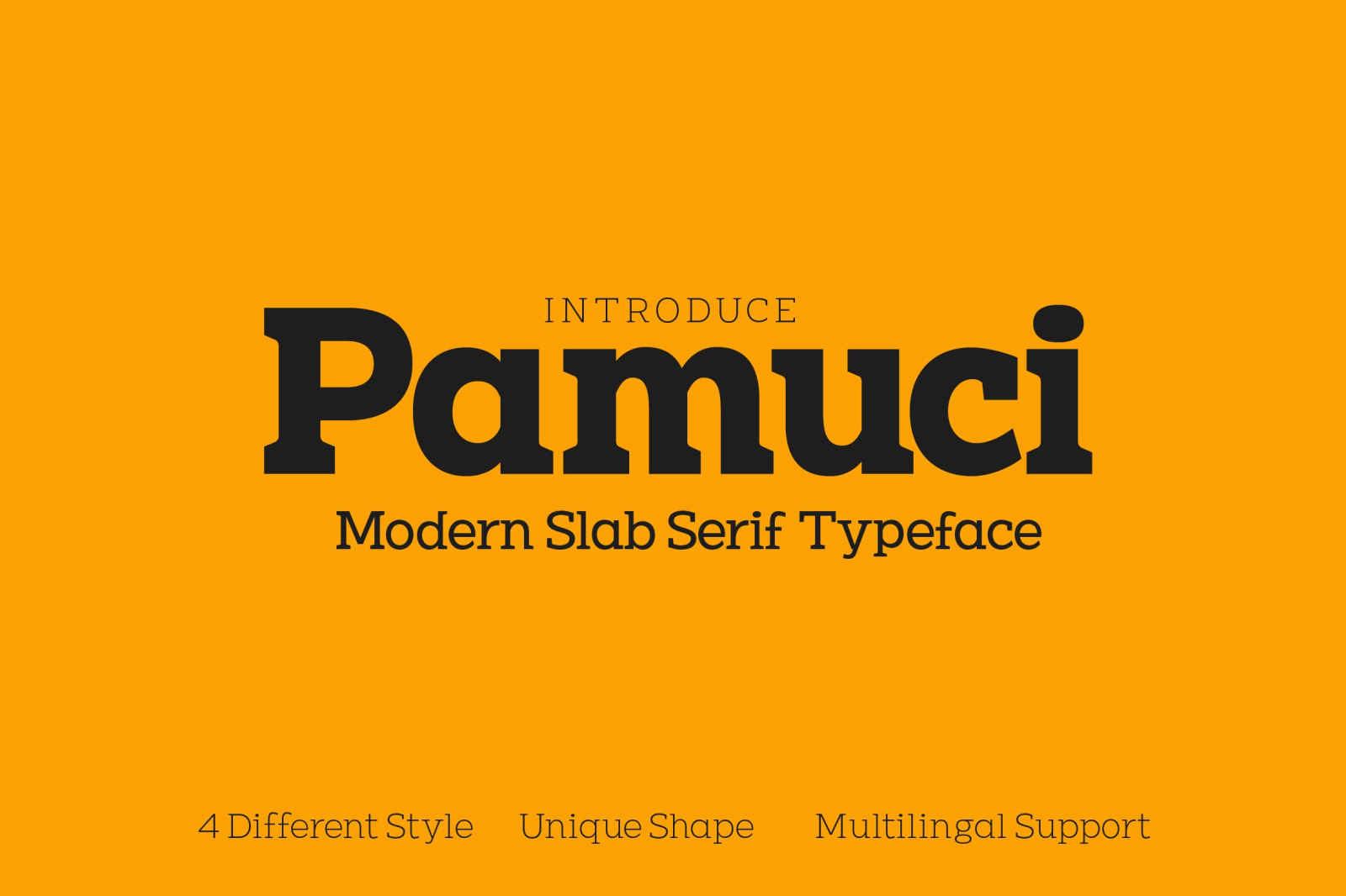 PAMUCI -MODERN SLAB SERIF TYPEFACE