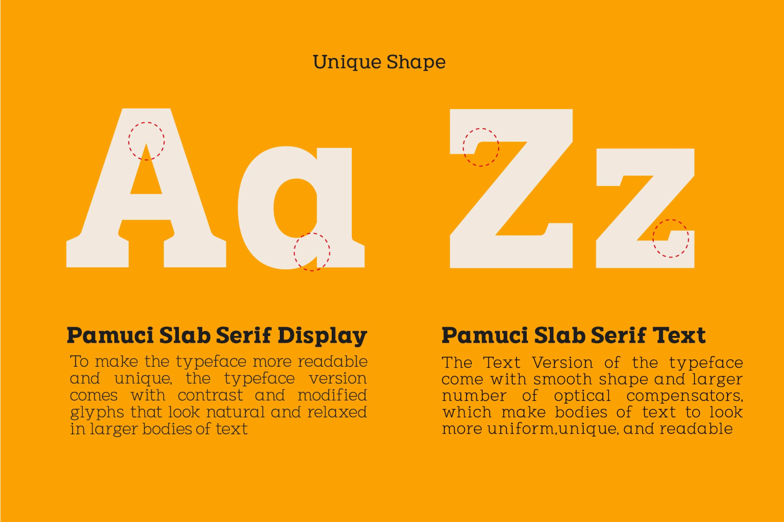 PAMUCI -MODERN SLAB SERIF TYPEFACE