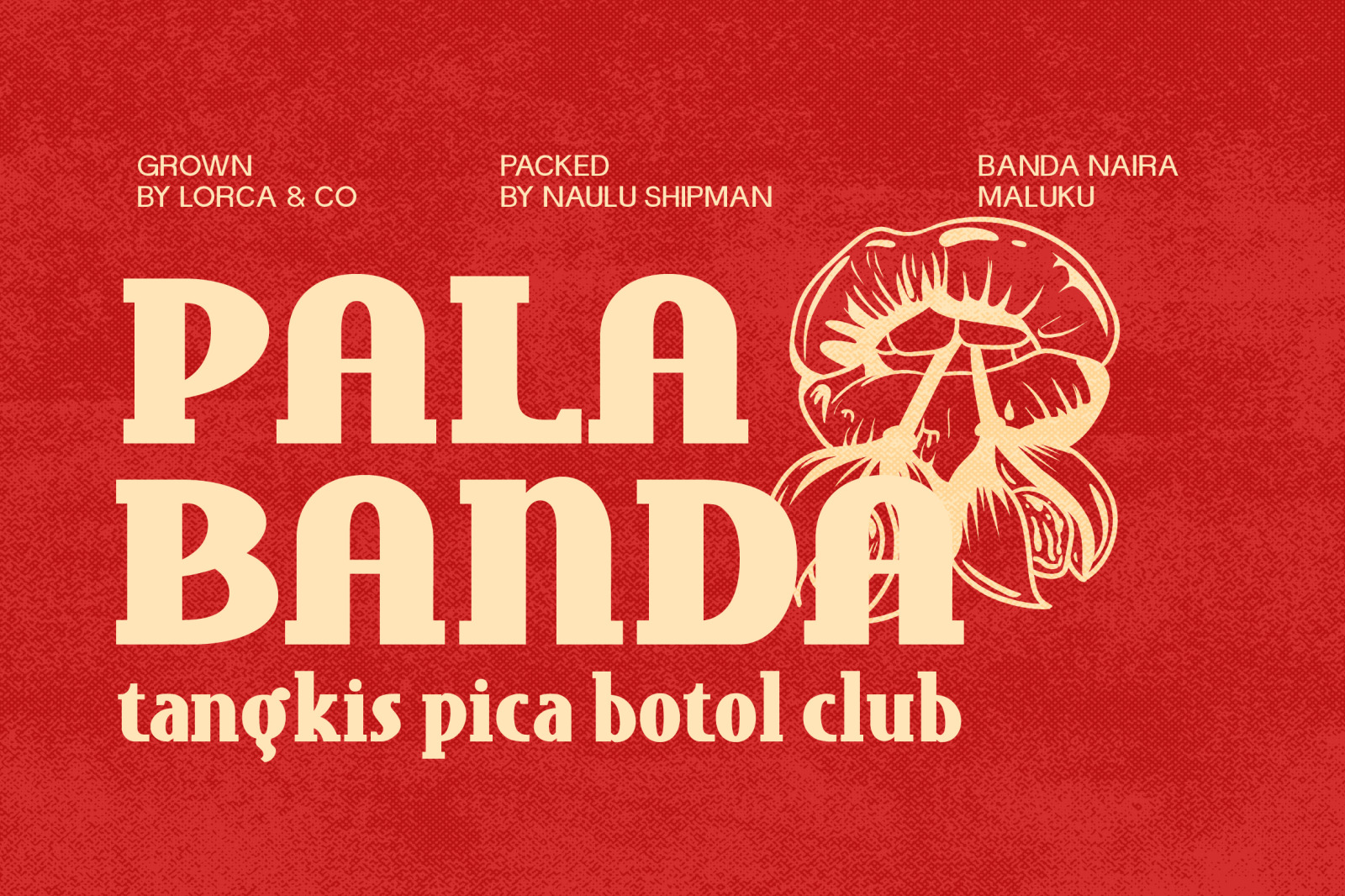 SALAKUS- VINTAGE SERIF FONT SALAKUS- VINTAGE SERIF FONT