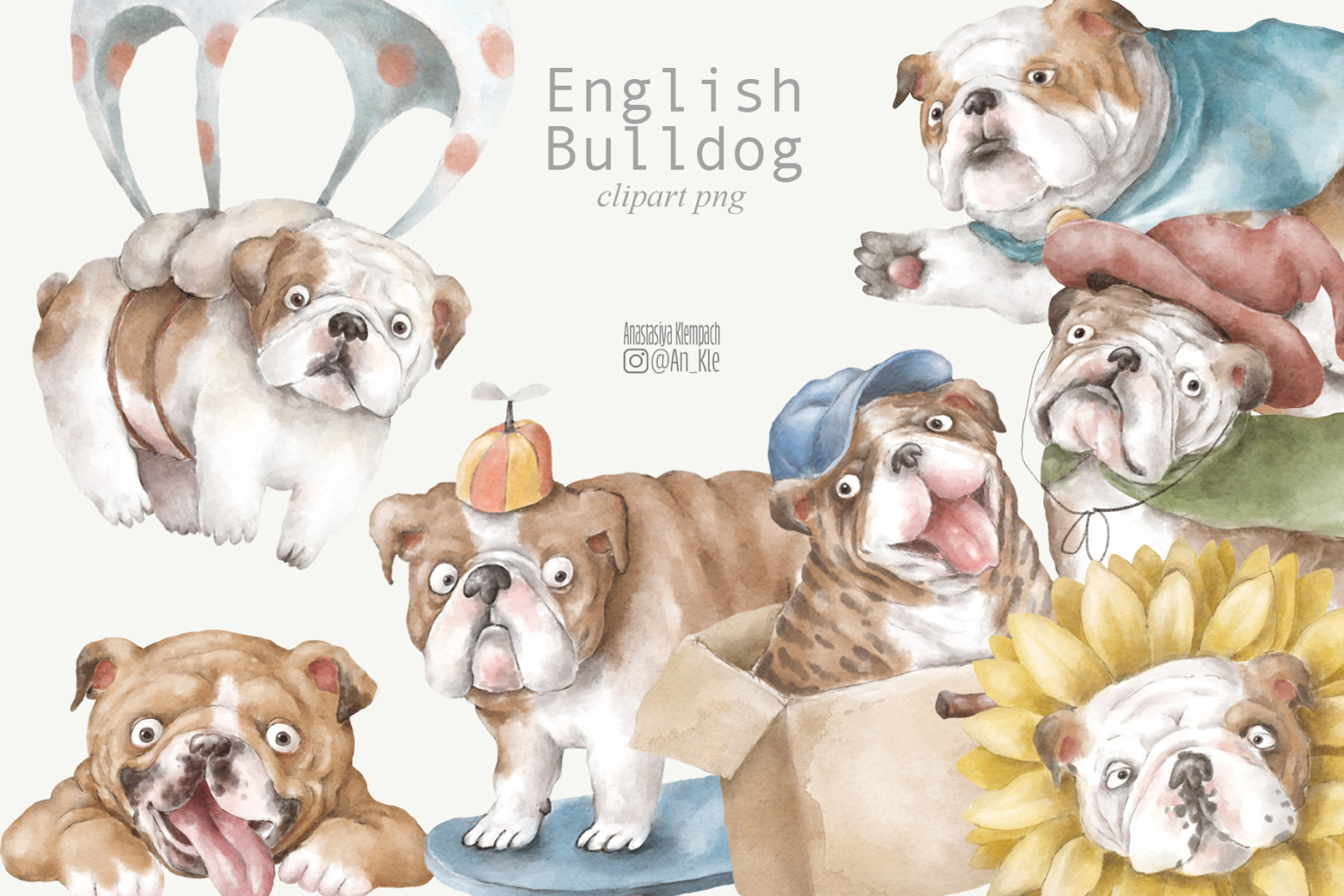 English Bulldog characters patterns English Bulldog characters patterns