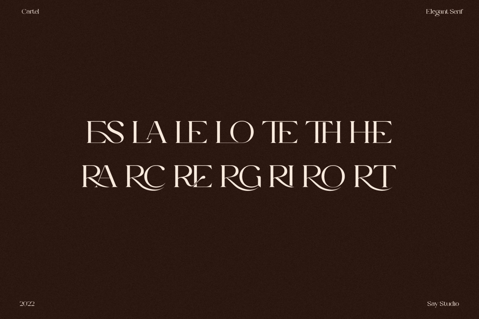 The Cartel - Elegant Serif Font