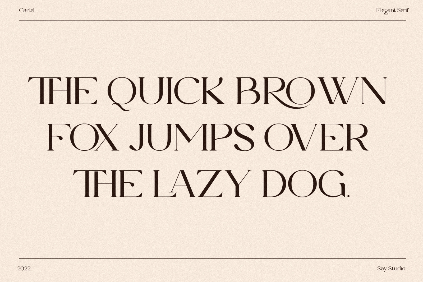 The Cartel - Elegant Serif Font