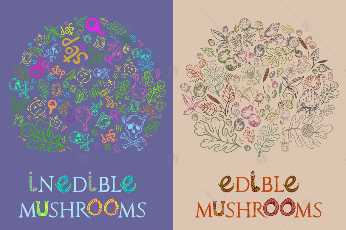 Big mushroom set Big mushroom set