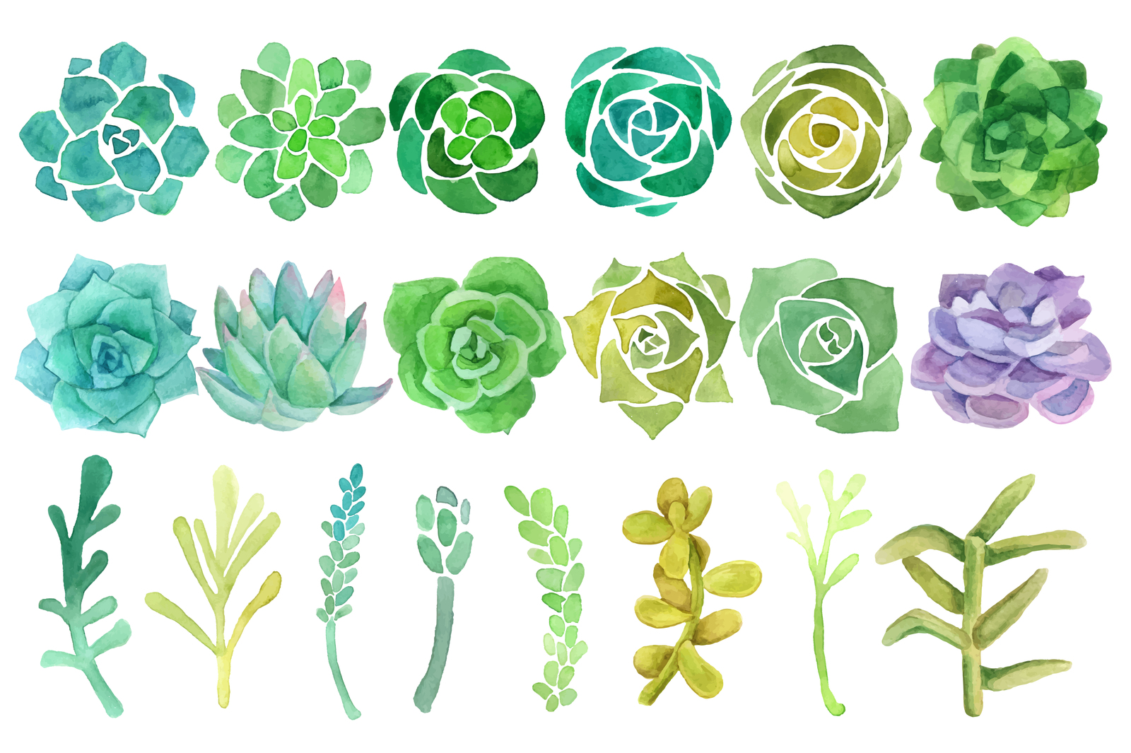 Watercolor cactus and succulent set Watercolor cactus and succulent set