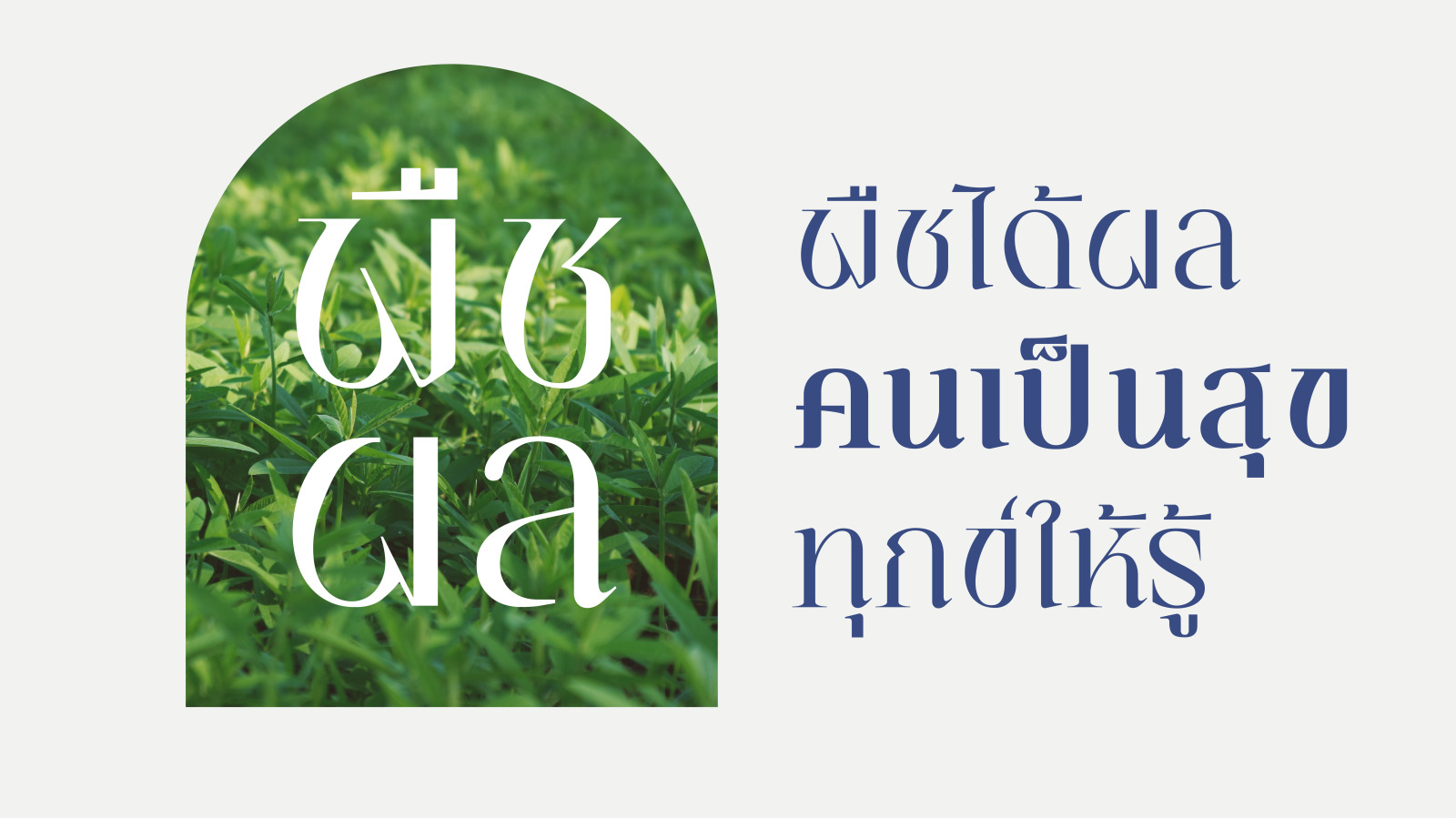 ZT KIS Font ZT KIS Font