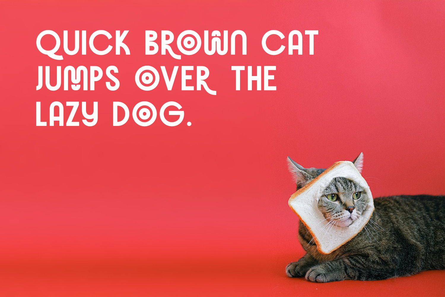 Brocado Typeface Brocado Typeface