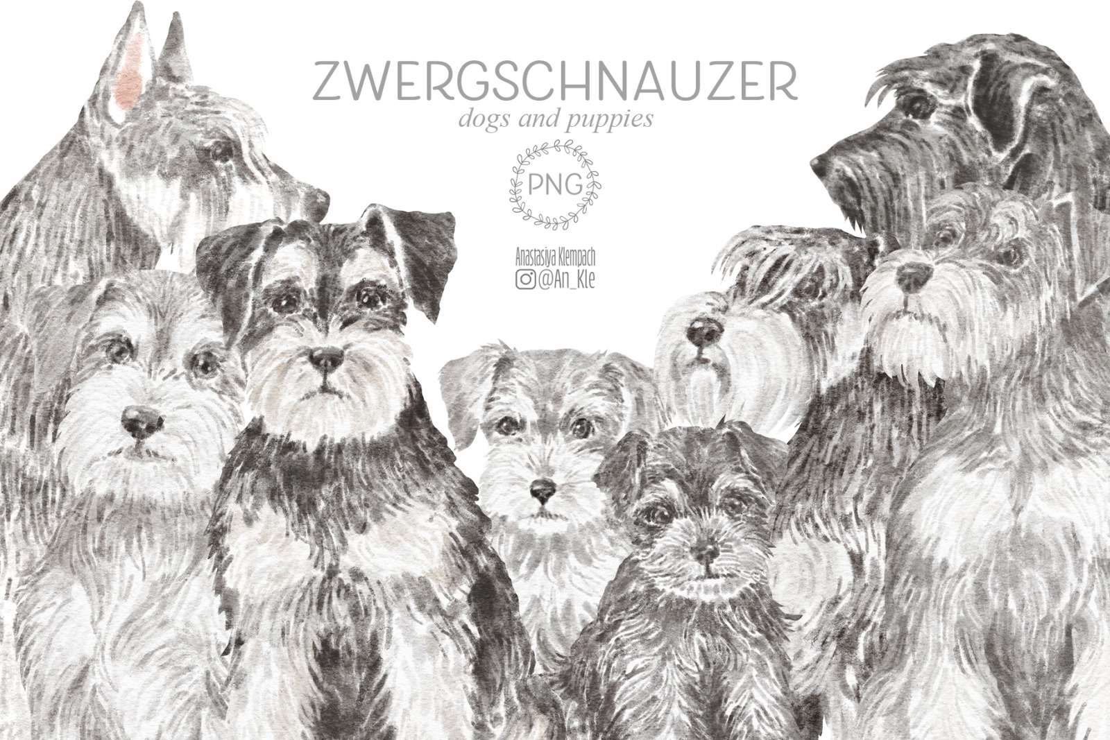 Miniature Schnauzer dog clipart