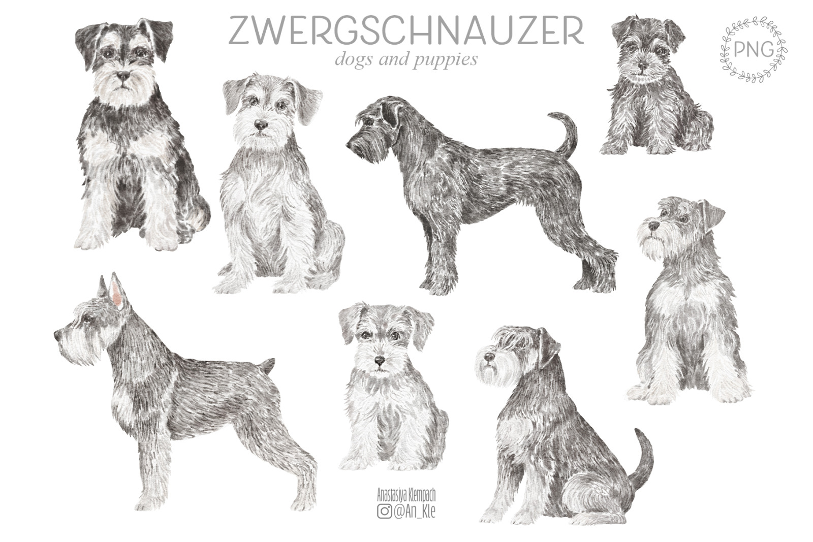 Miniature Schnauzer dog clipart