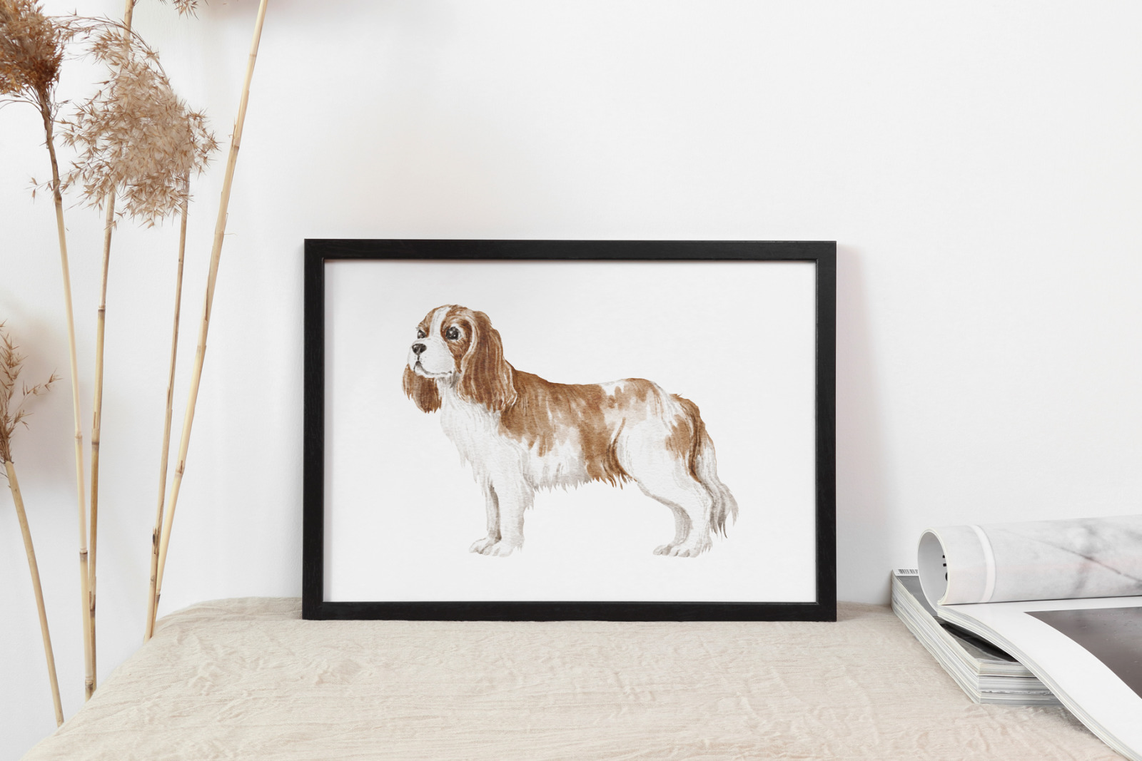 Cavalier King Charles Spaniel Cavalier King Charles Spaniel