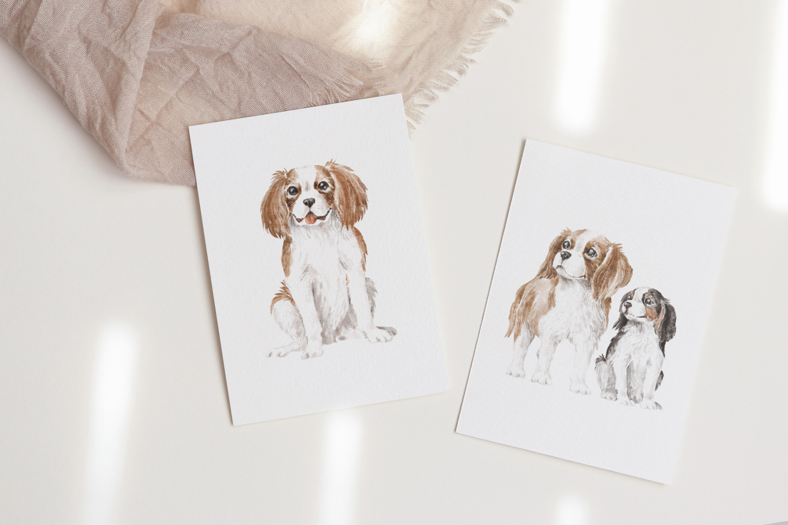 Cavalier King Charles Spaniel