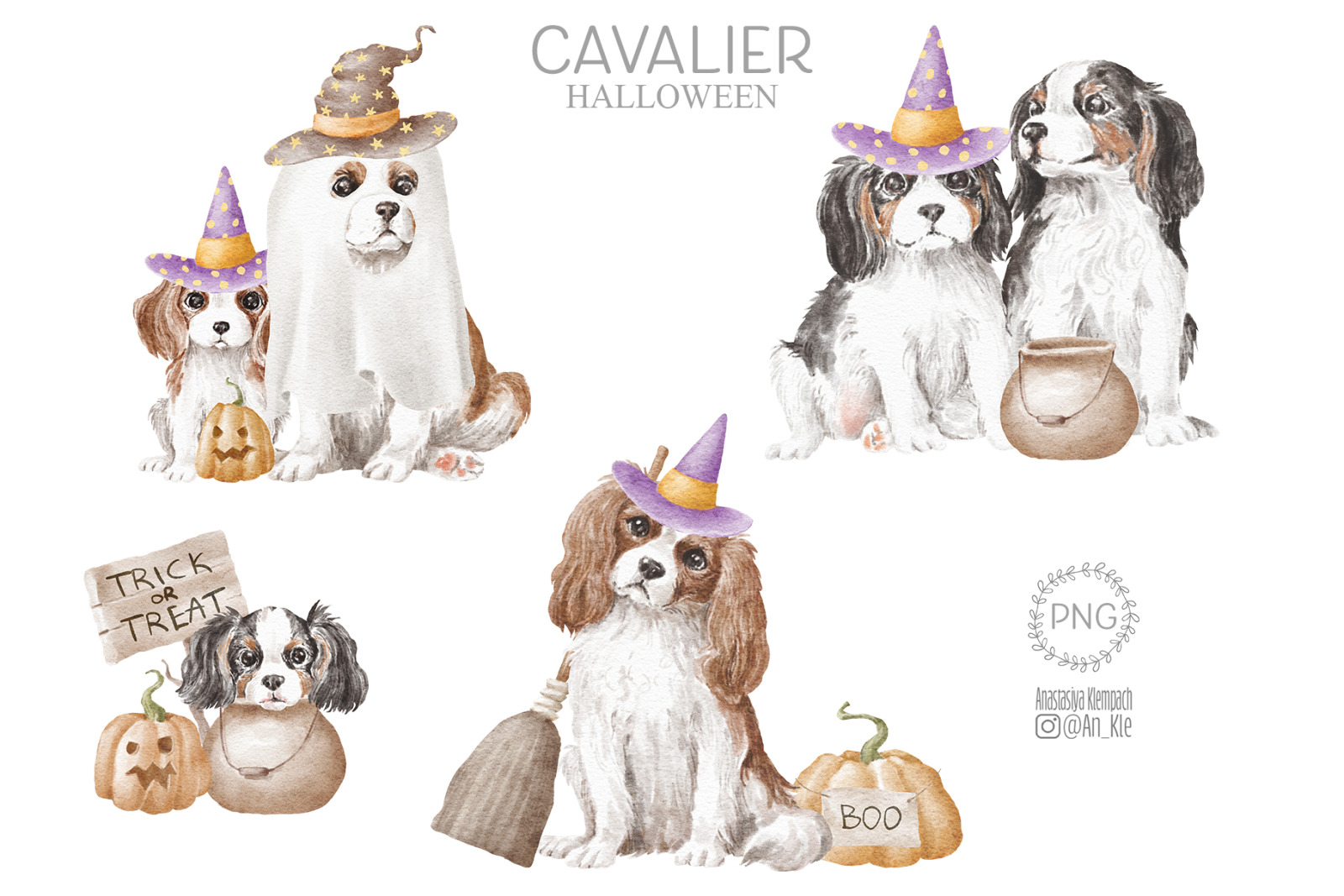 Cavalier King Charles Spaniel Cavalier King Charles Spaniel