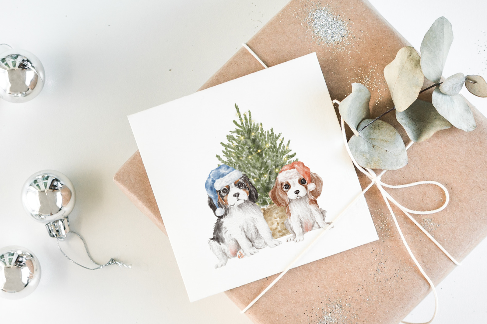 Cavalier King Charles Spaniel Cavalier King Charles Spaniel