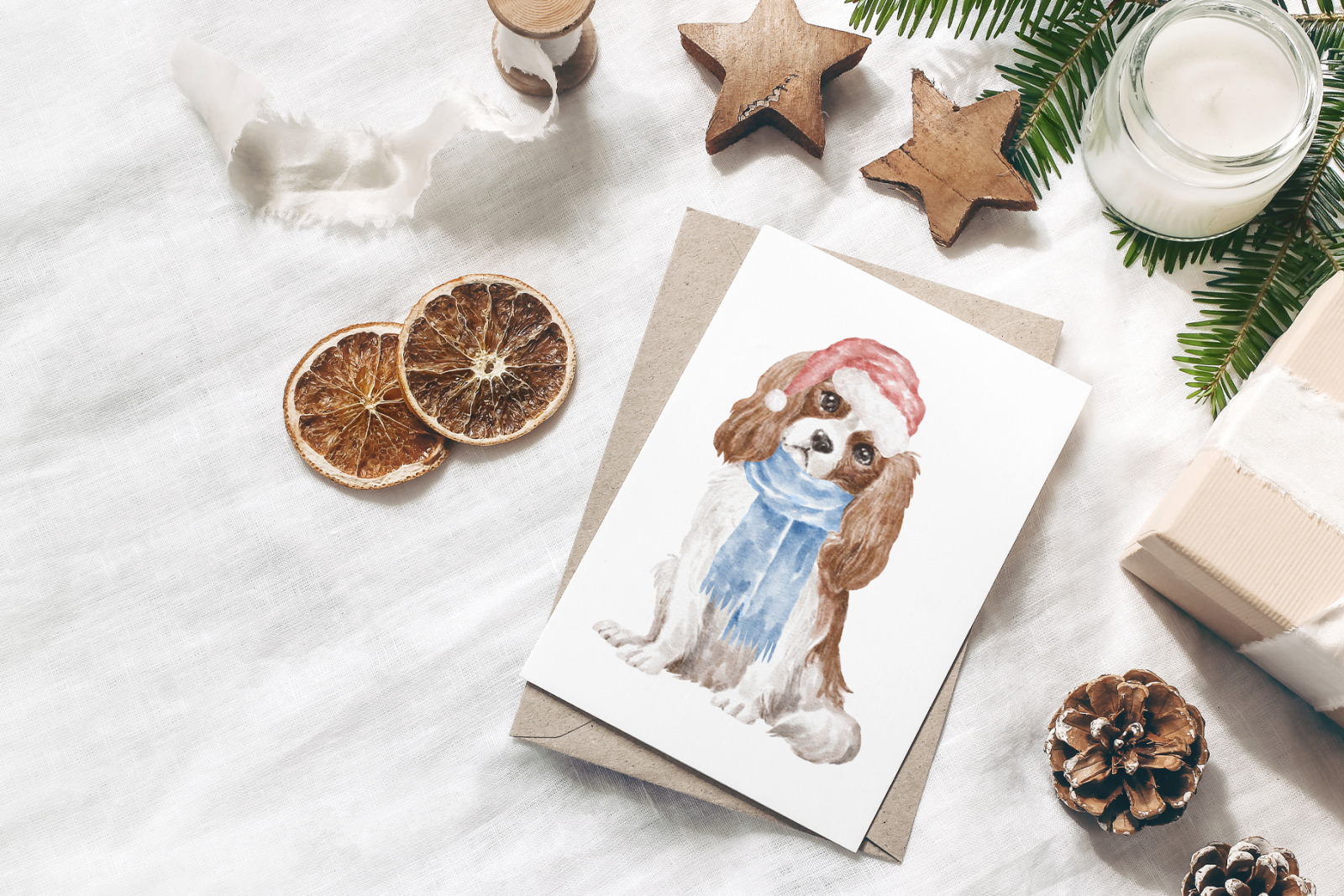Cavalier King Charles Spaniel Cavalier King Charles Spaniel