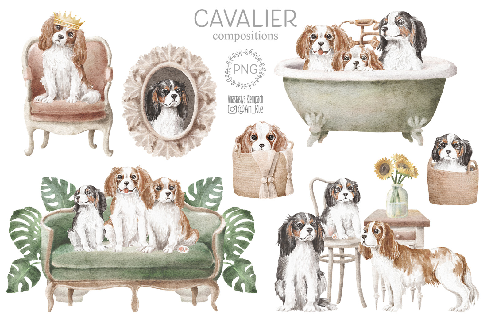 Cavalier King Charles Spaniel Cavalier King Charles Spaniel