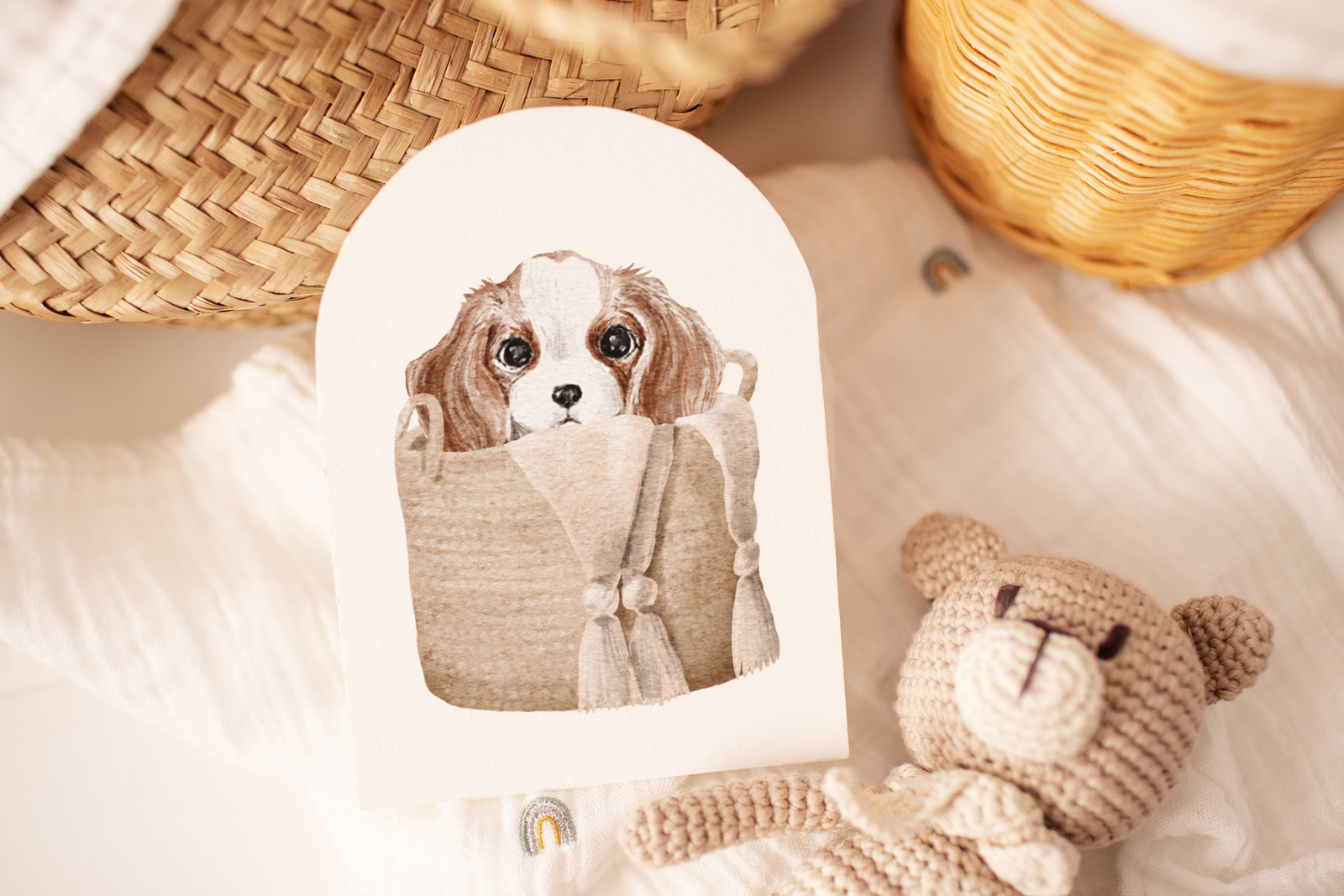Cavalier King Charles Spaniel Cavalier King Charles Spaniel