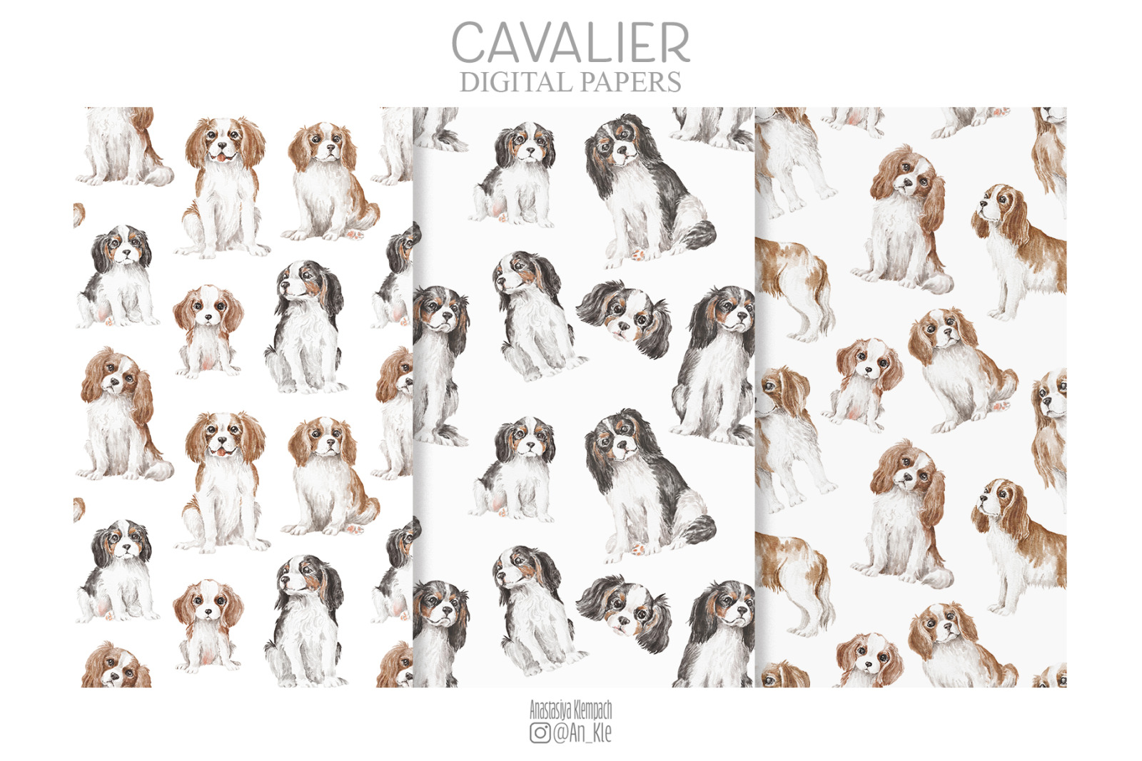 Cavalier King Charles Spaniel Cavalier King Charles Spaniel