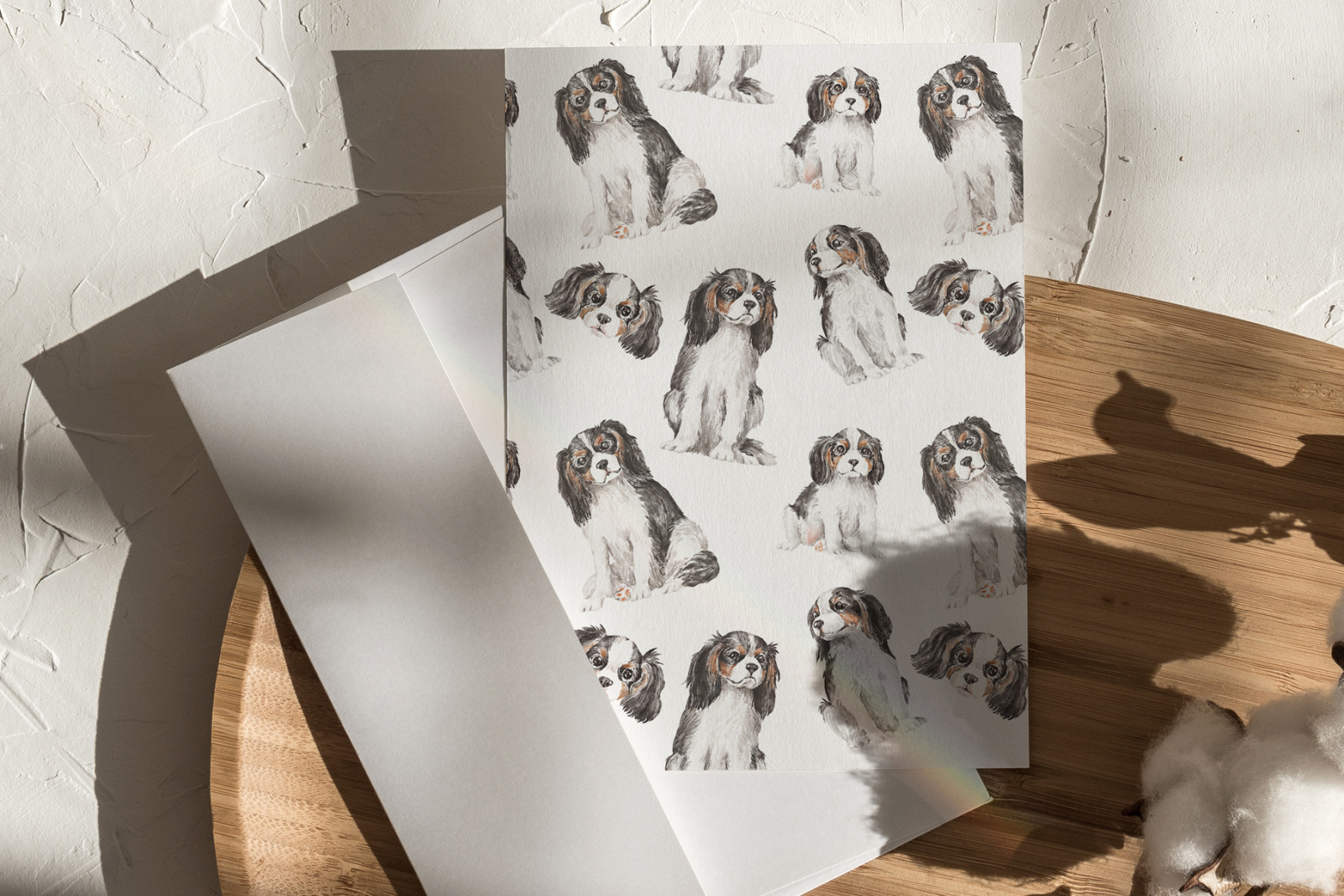 Cavalier King Charles Spaniel Cavalier King Charles Spaniel